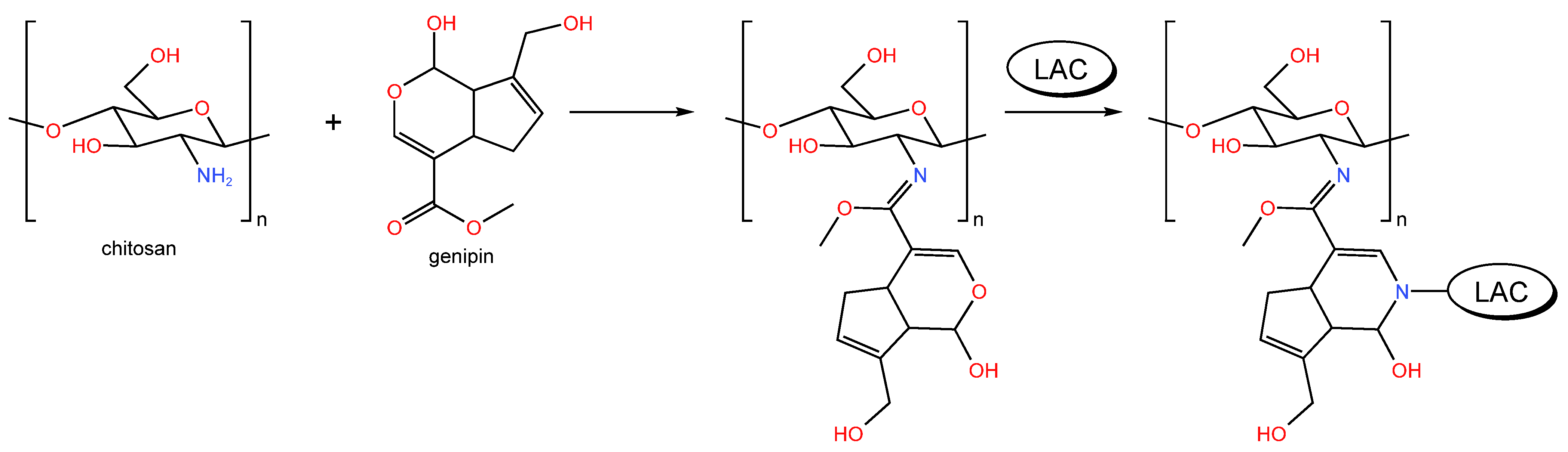 Catalysts 13 00367 g029