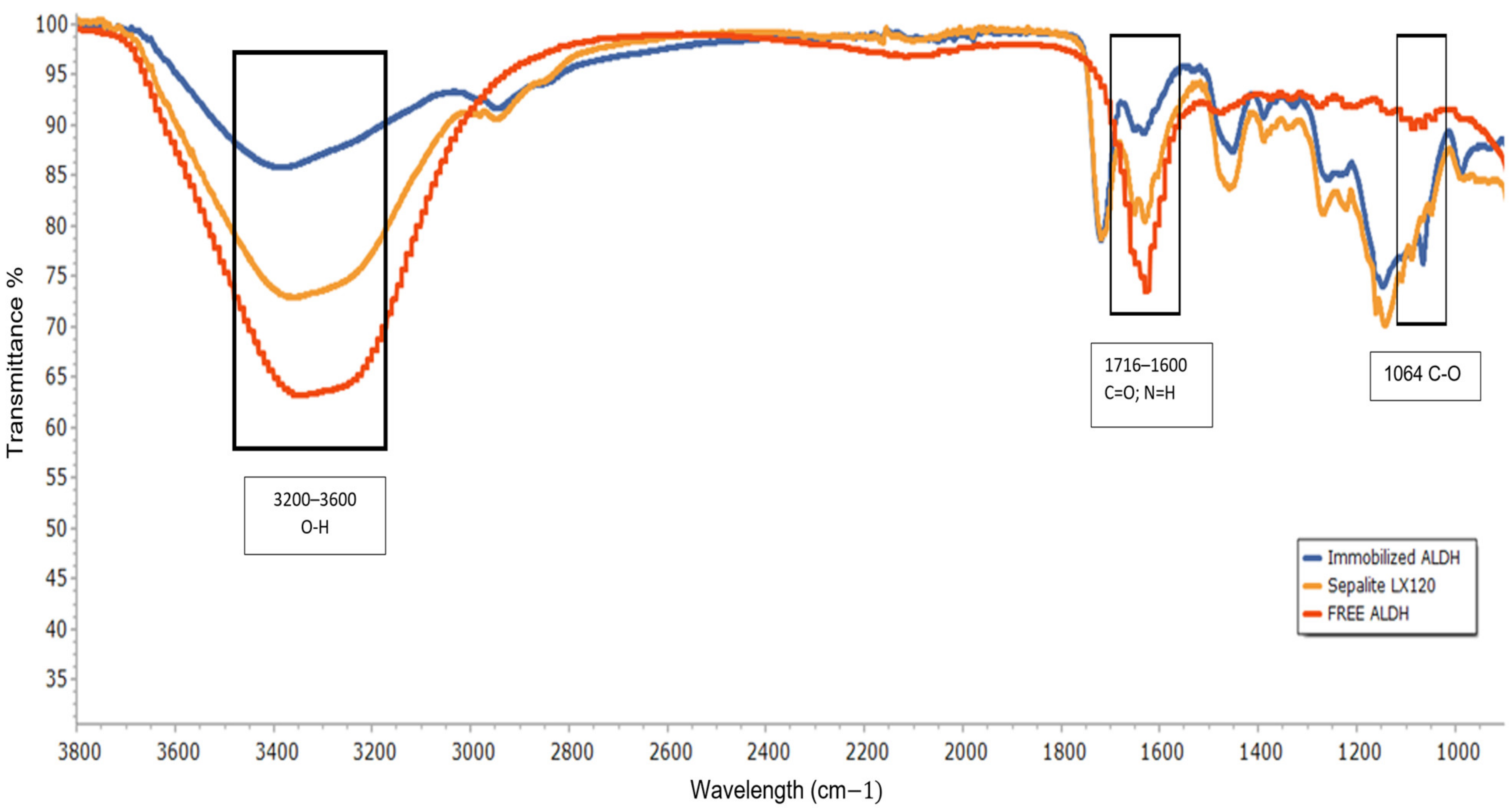 Catalysts 13 00368 g002