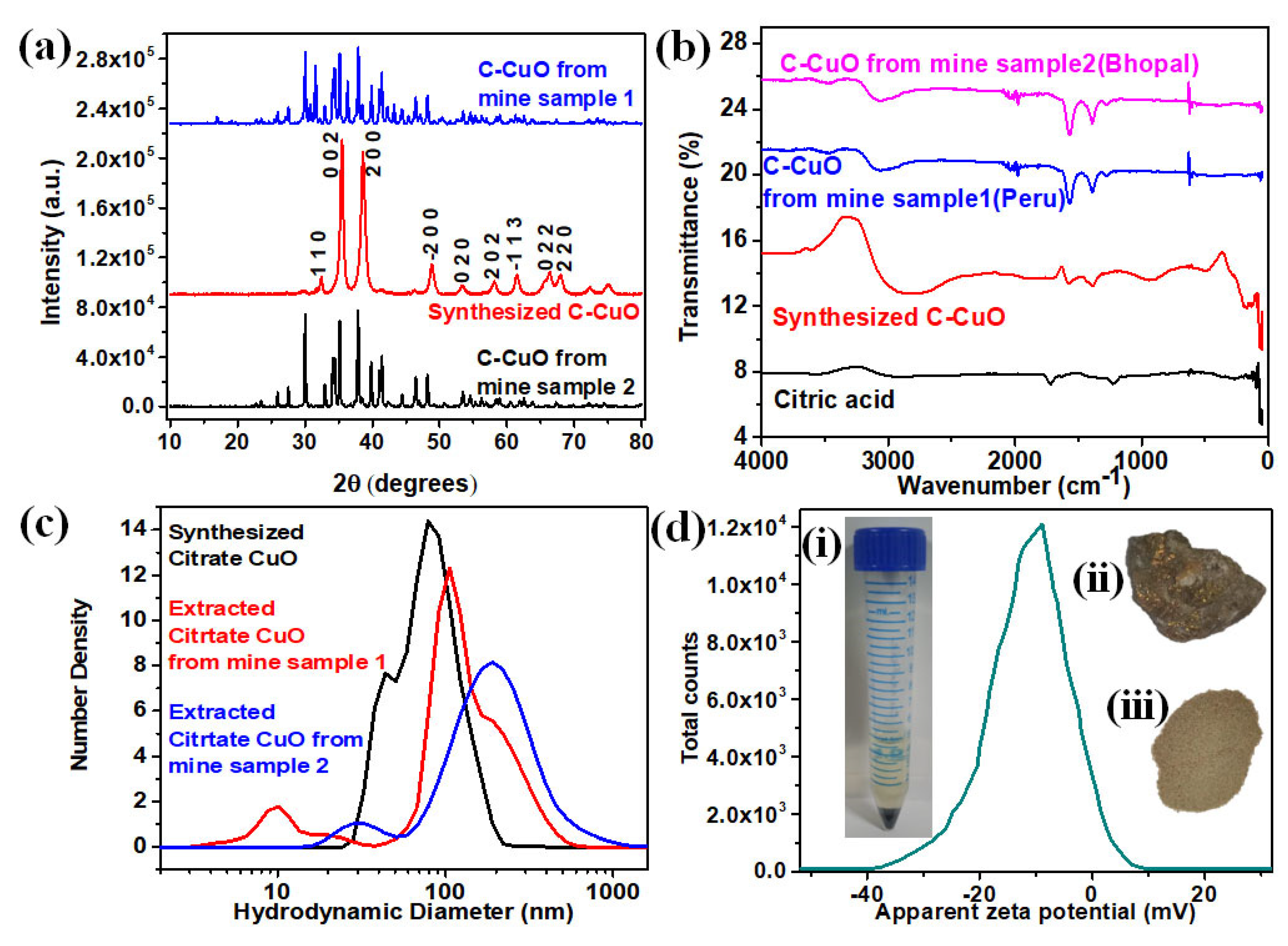 Catalysts 13 00369 g001