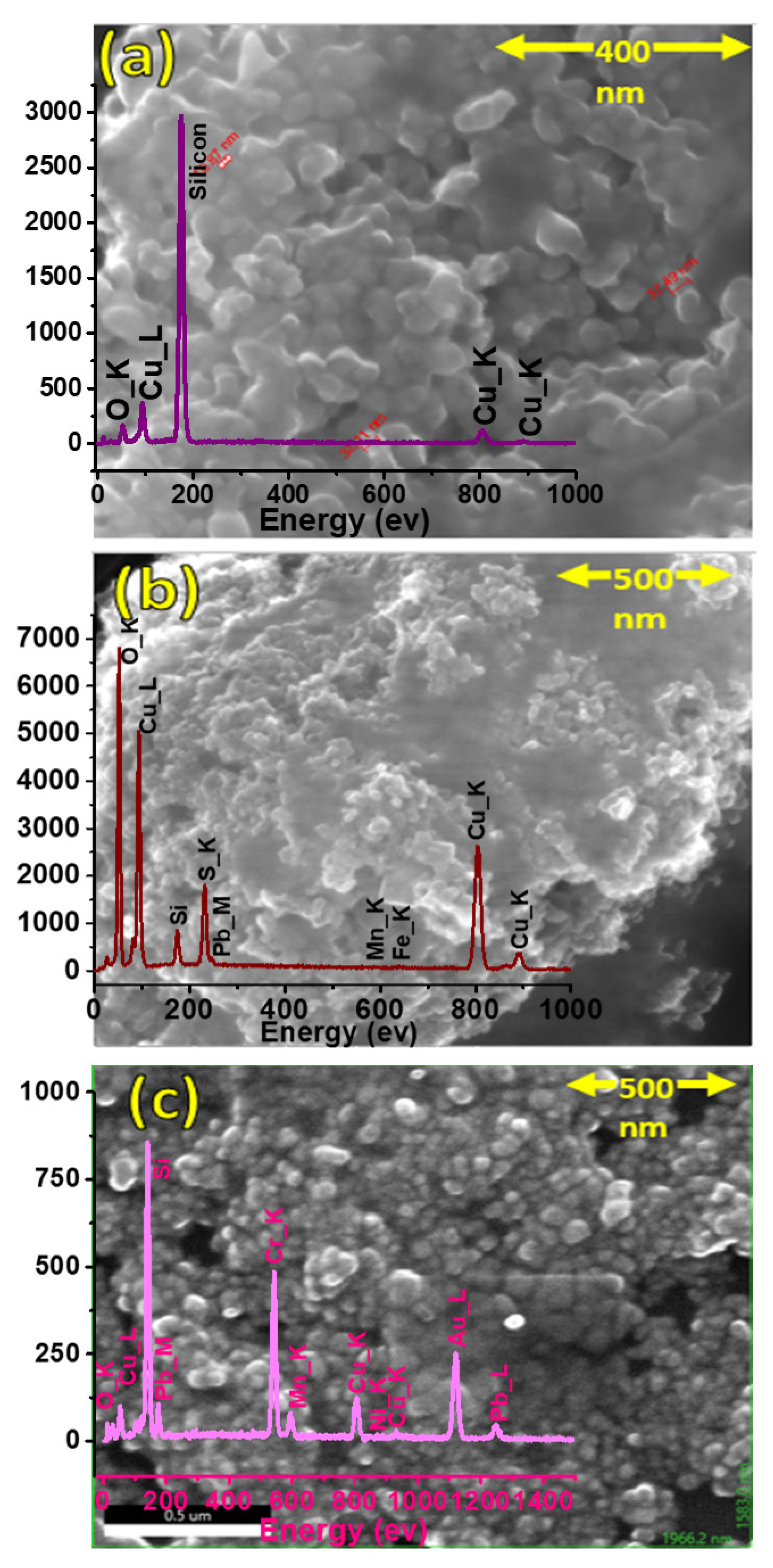 Catalysts 13 00369 g002