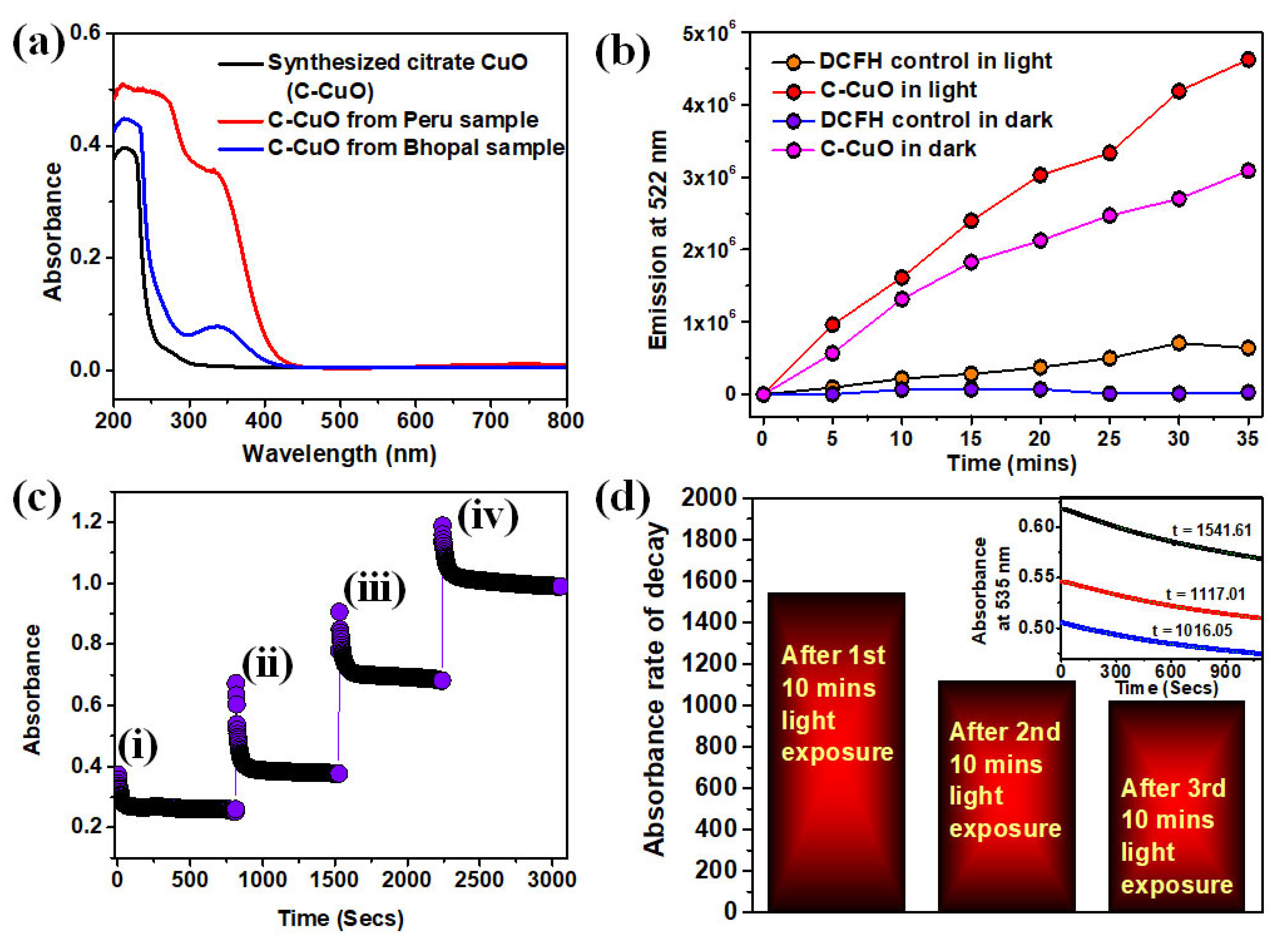 Catalysts 13 00369 g003