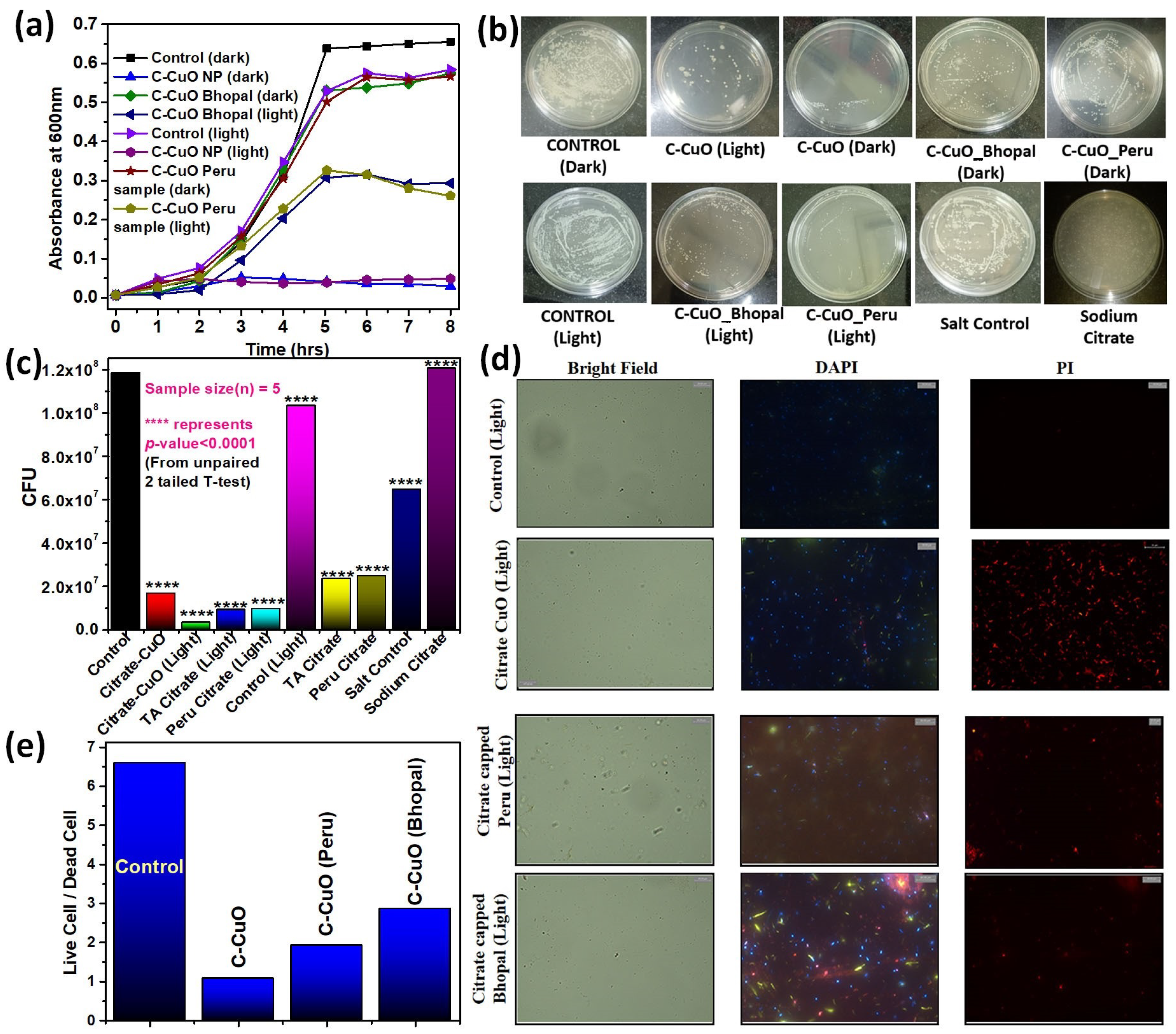 Catalysts 13 00369 g004
