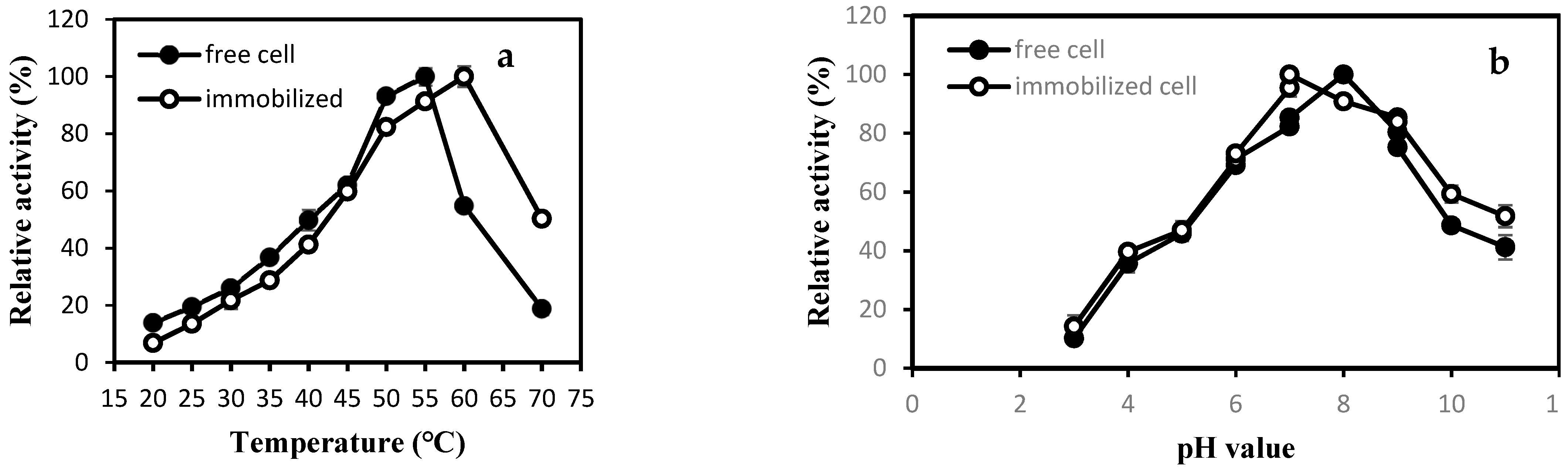 Catalysts 13 00371 g001