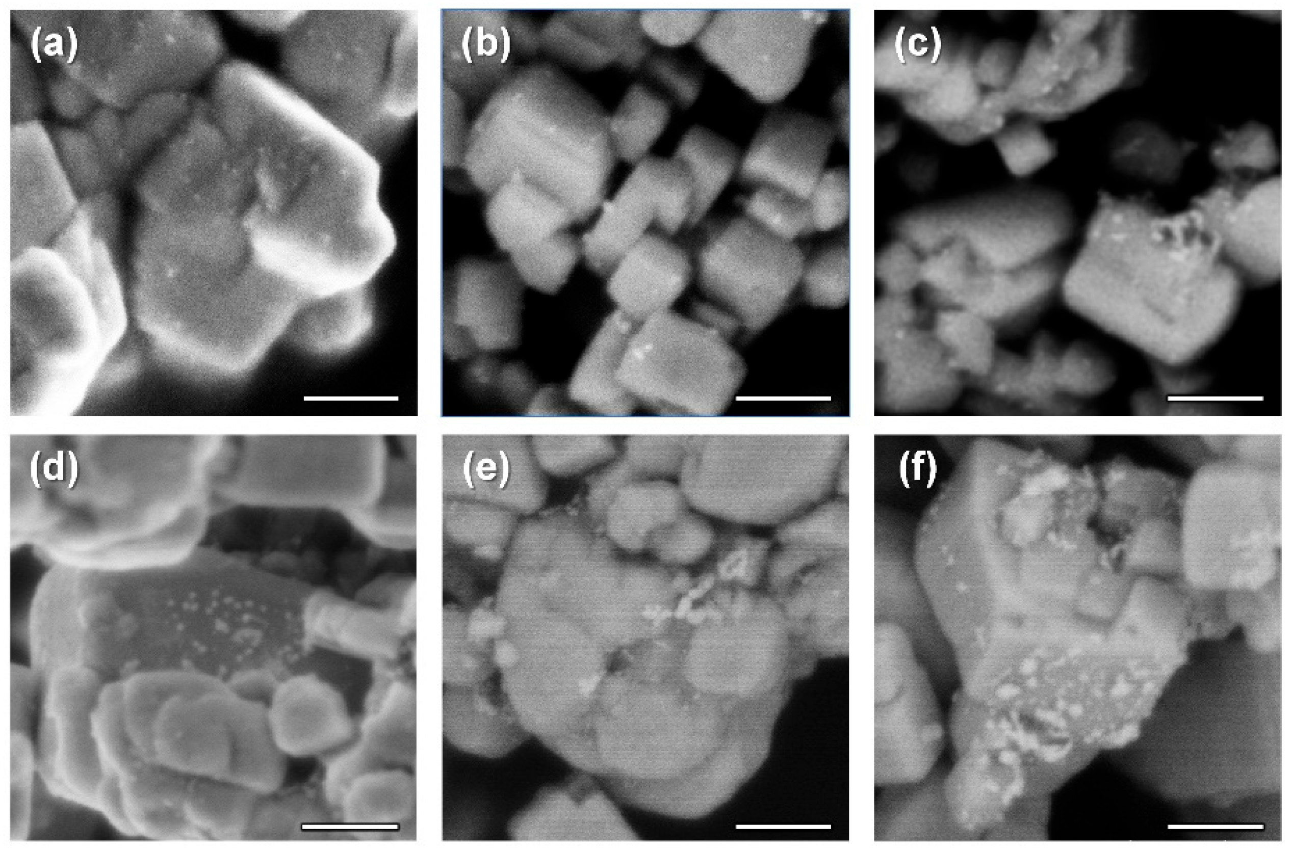 Catalysts 13 00373 g003