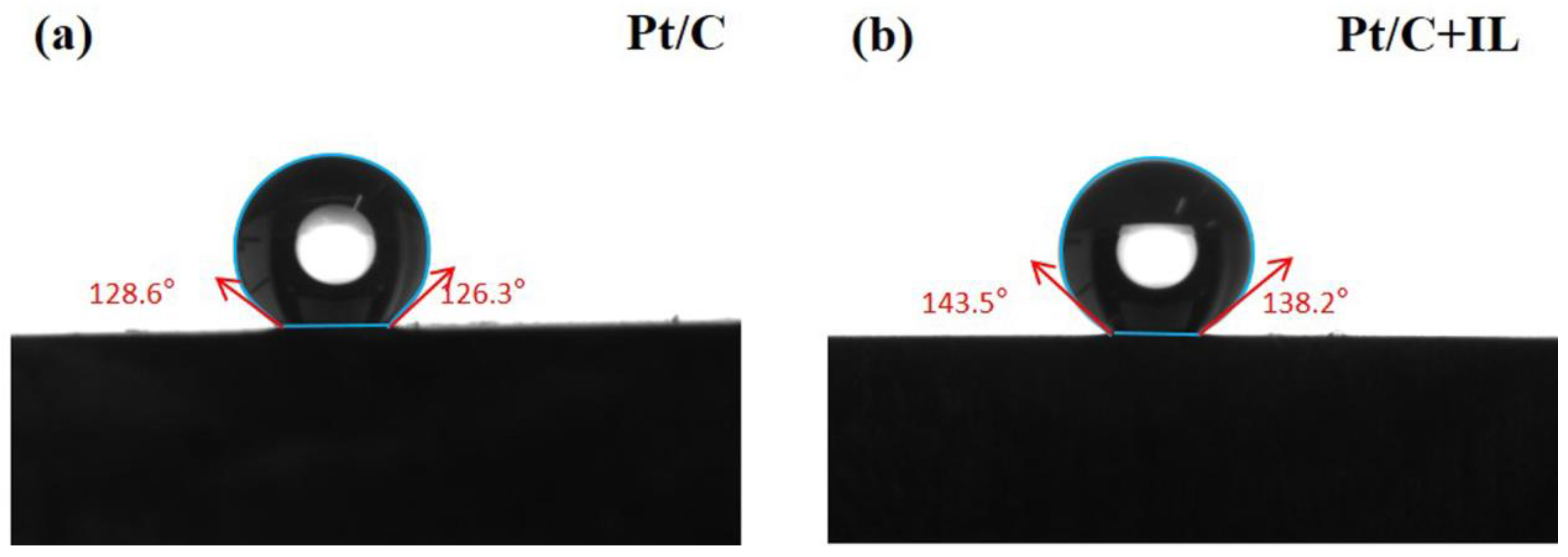 Catalysts 13 00374 g001