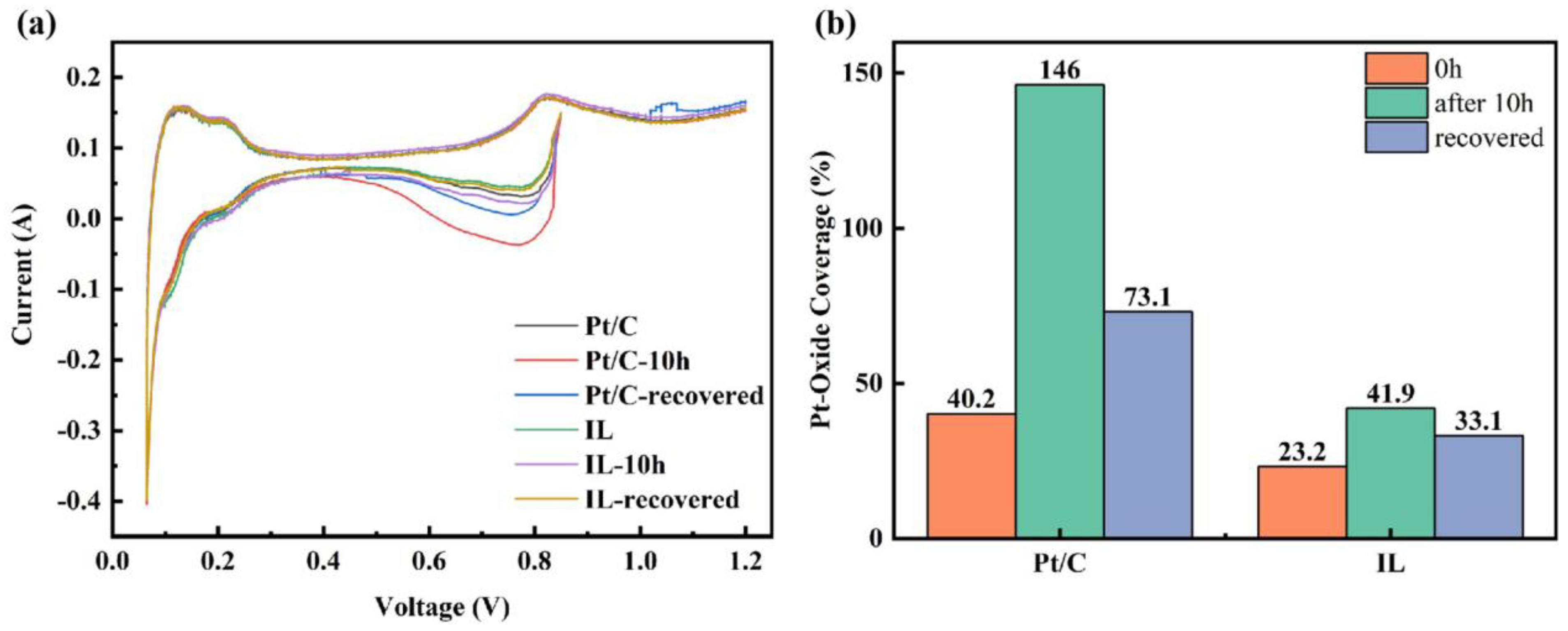 Catalysts 13 00374 g003