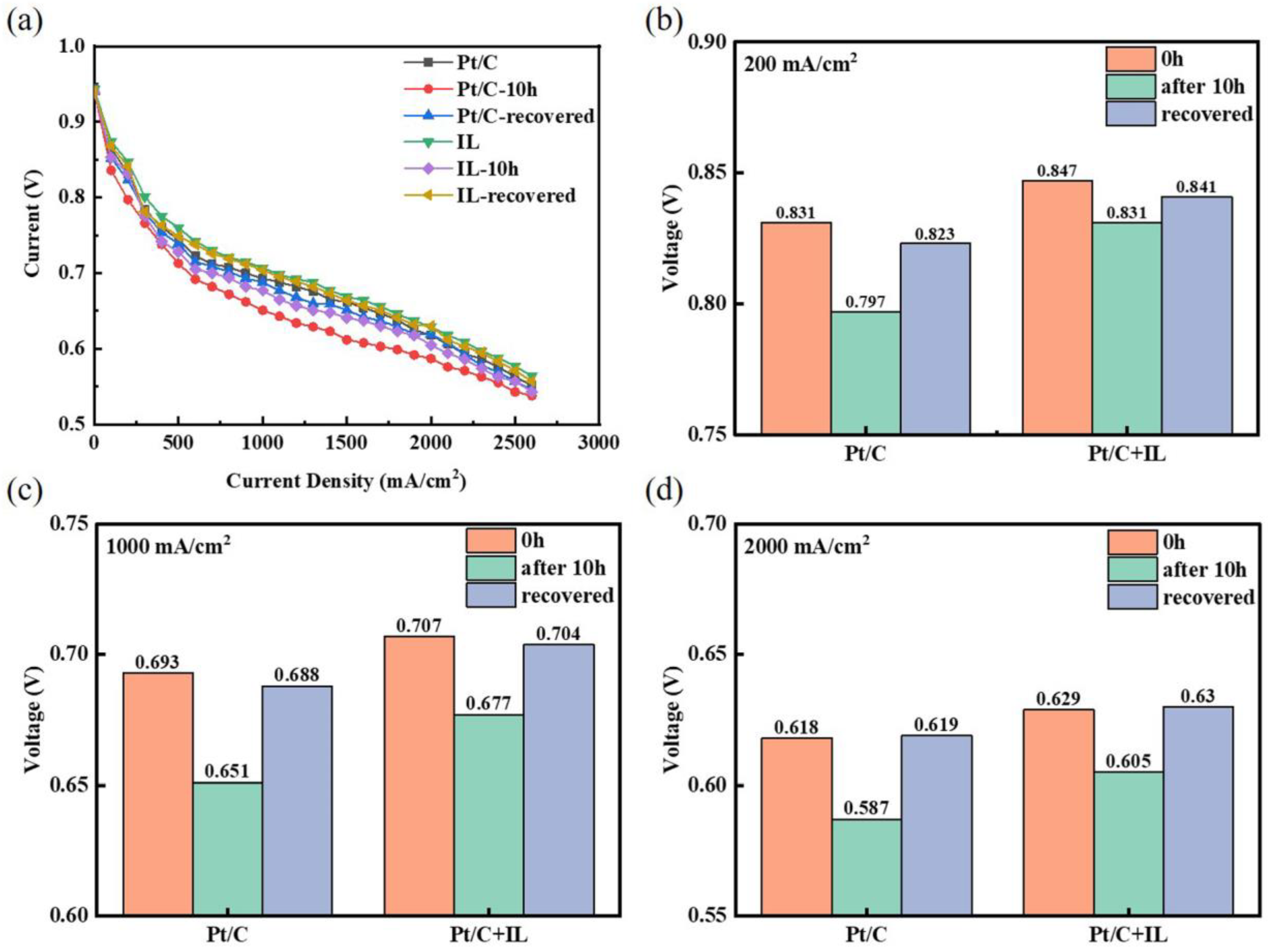 Catalysts 13 00374 g004