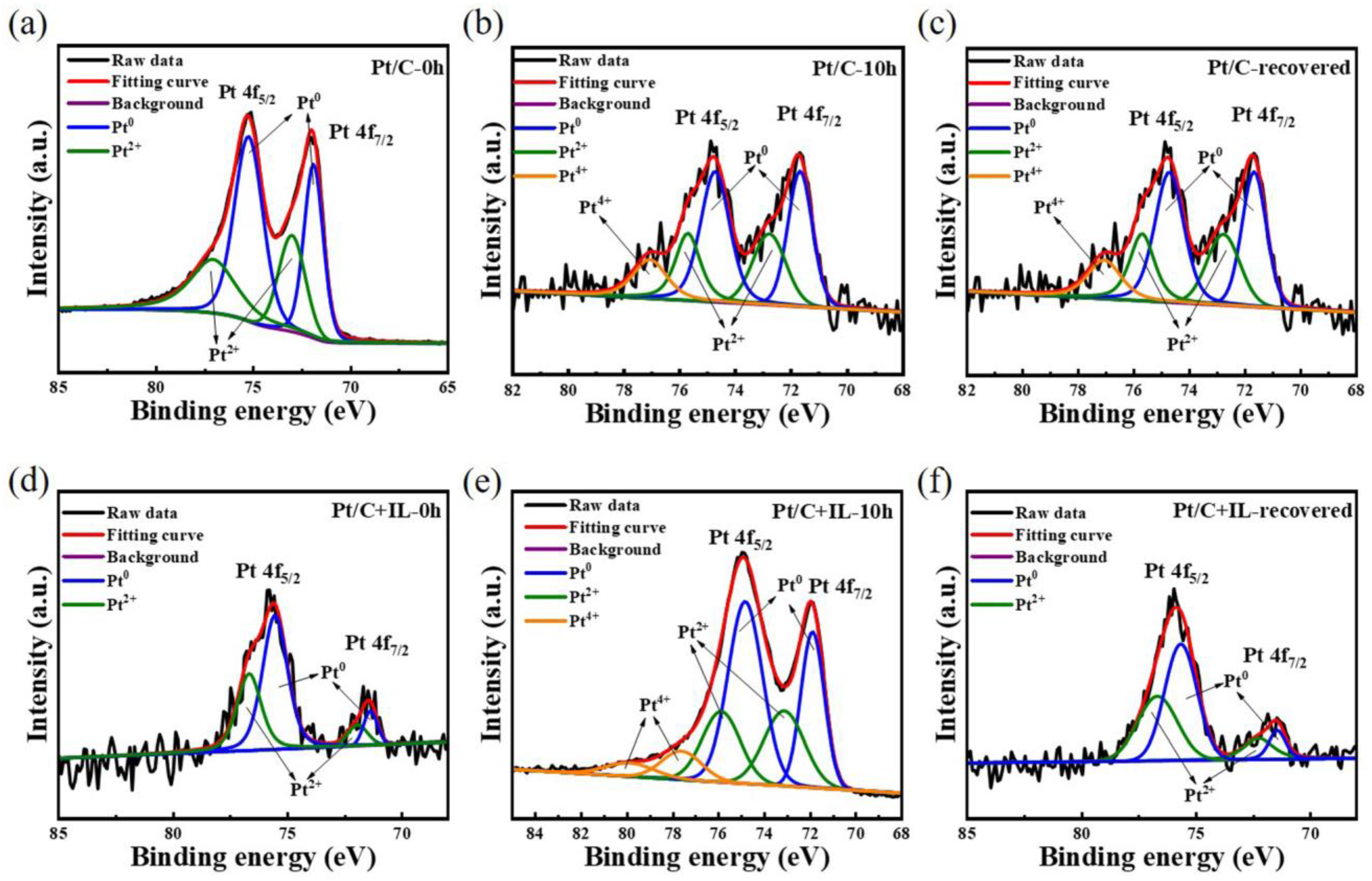 Catalysts 13 00374 g006