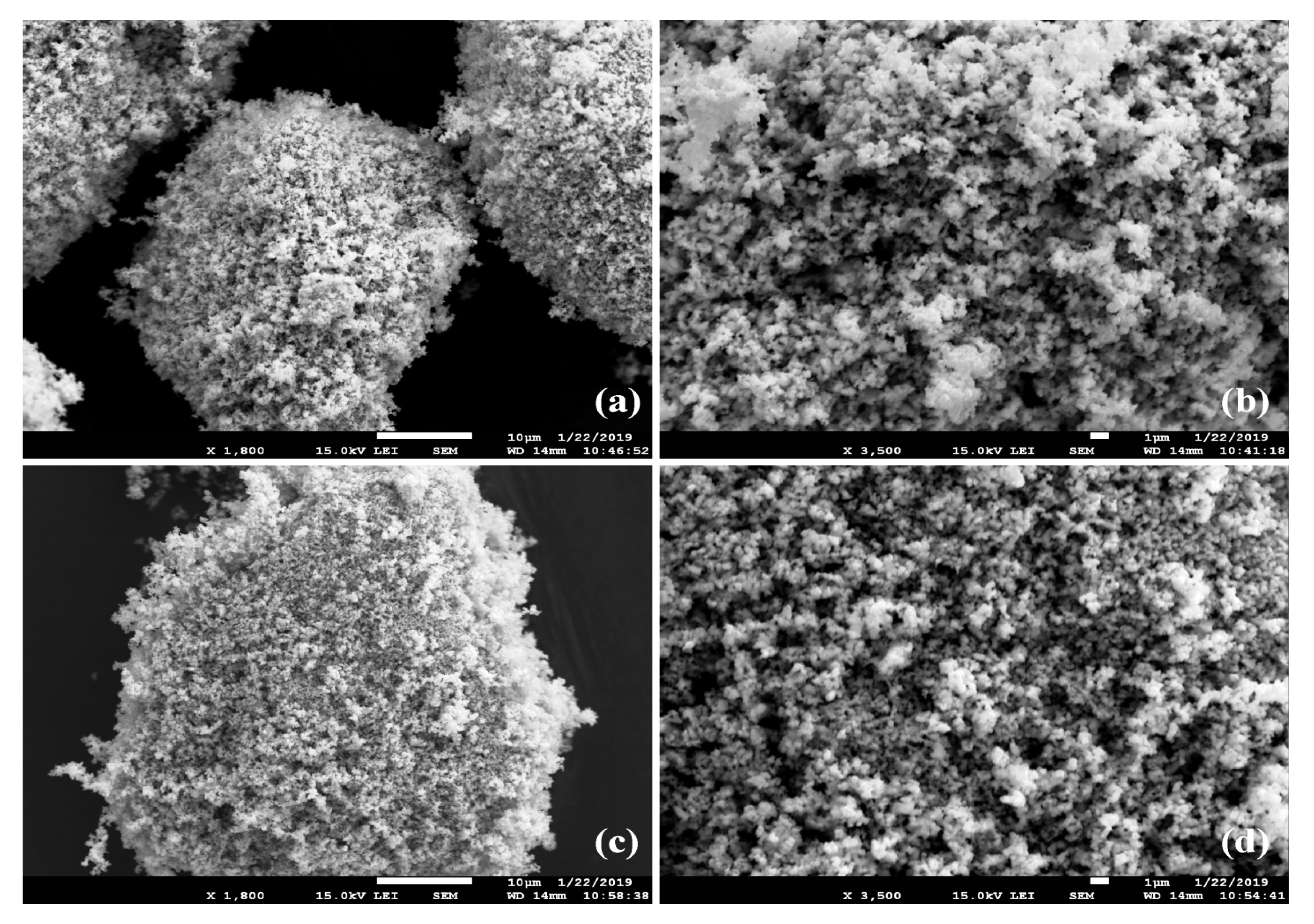 Catalysts 13 00375 g001