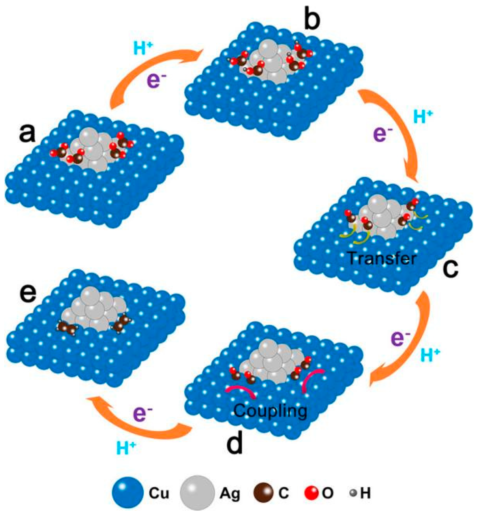 Catalysts 13 00376 g003