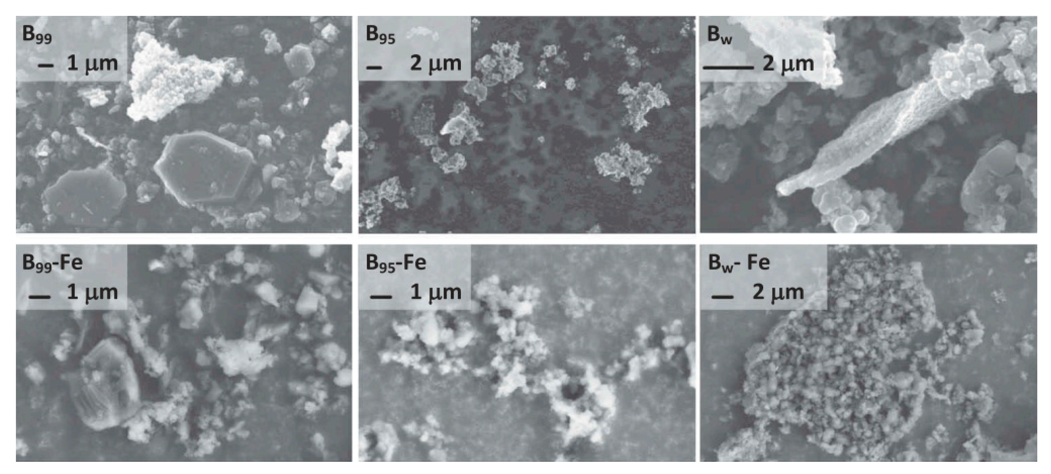 Catalysts 13 00378 g002