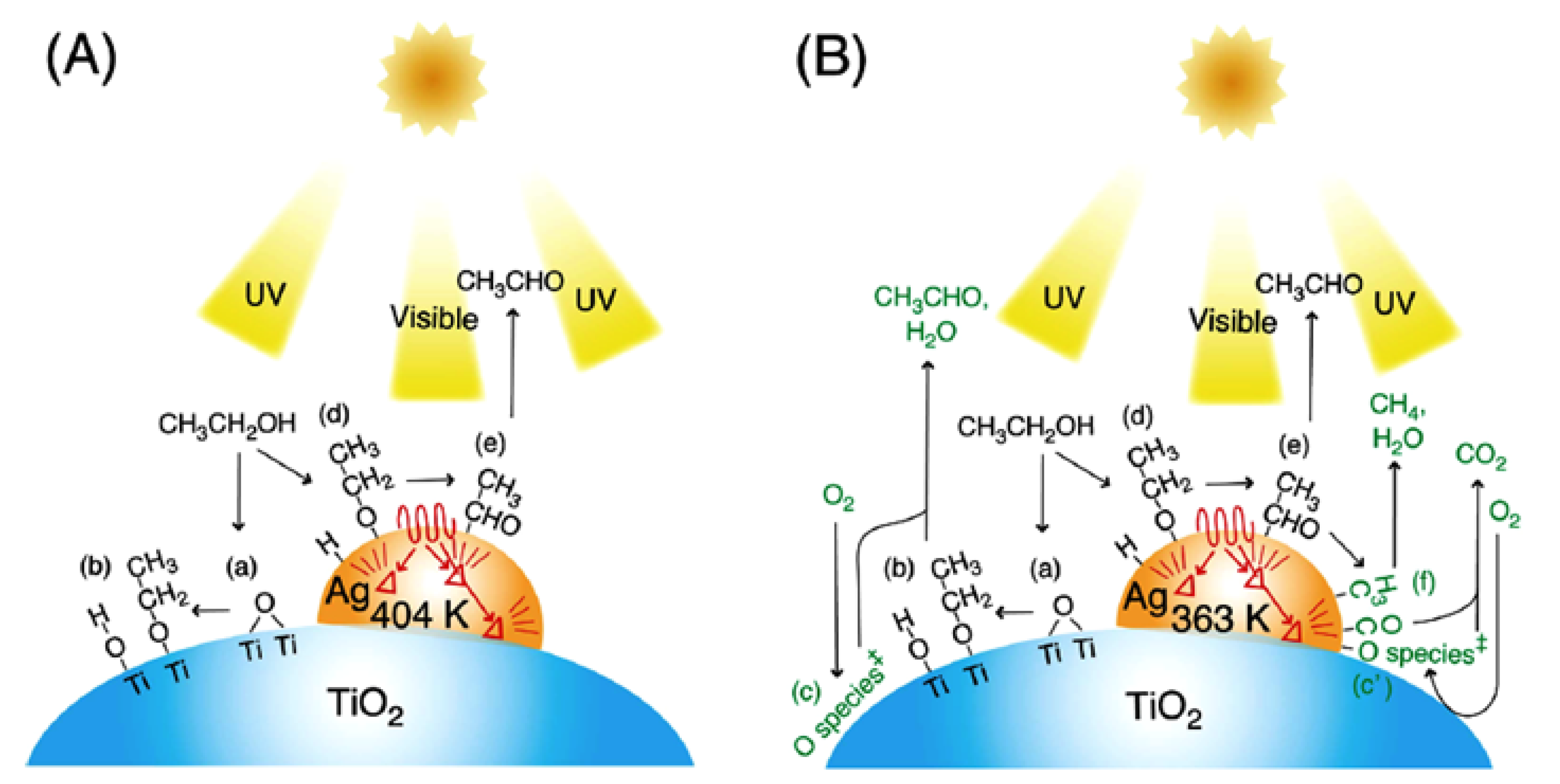 Catalysts 13 00380 g002