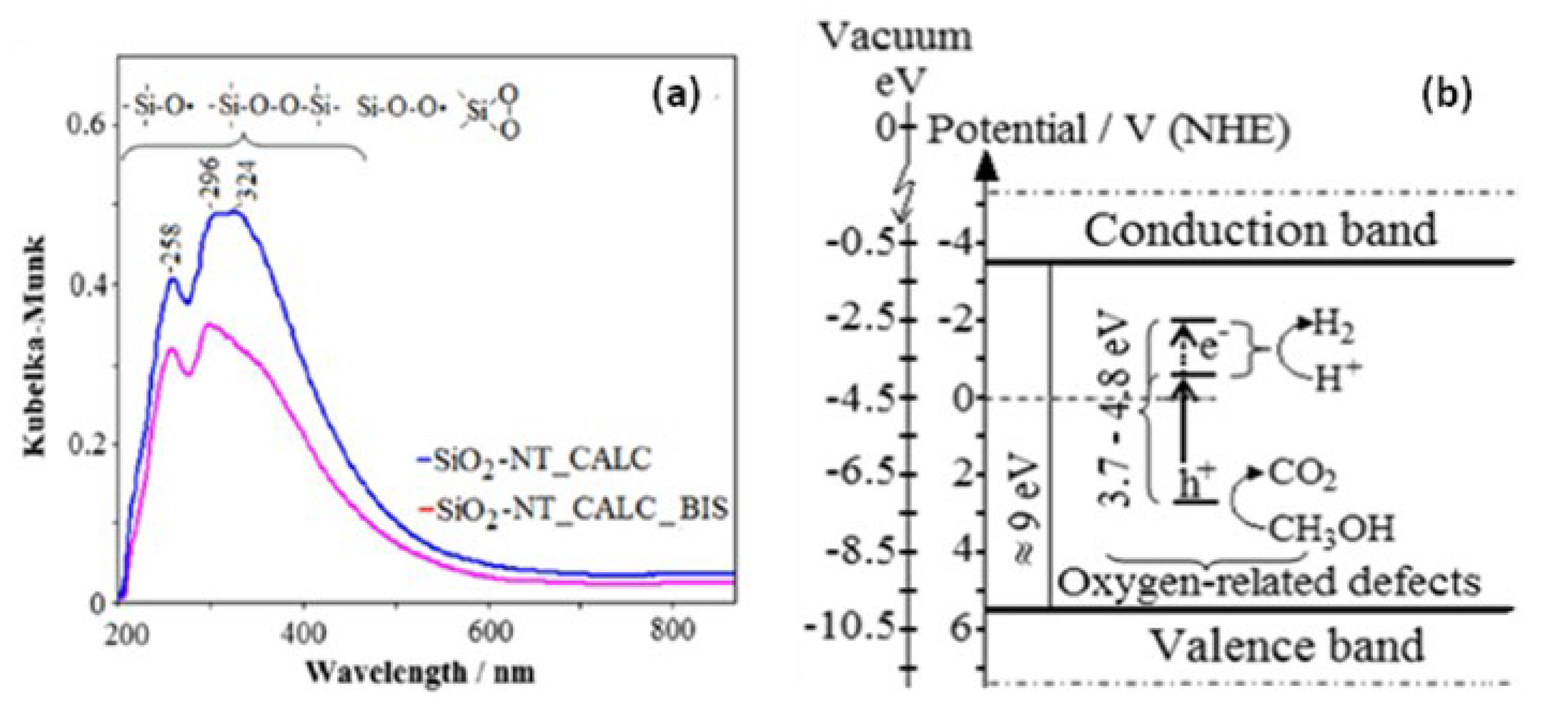 Catalysts 13 00380 g003