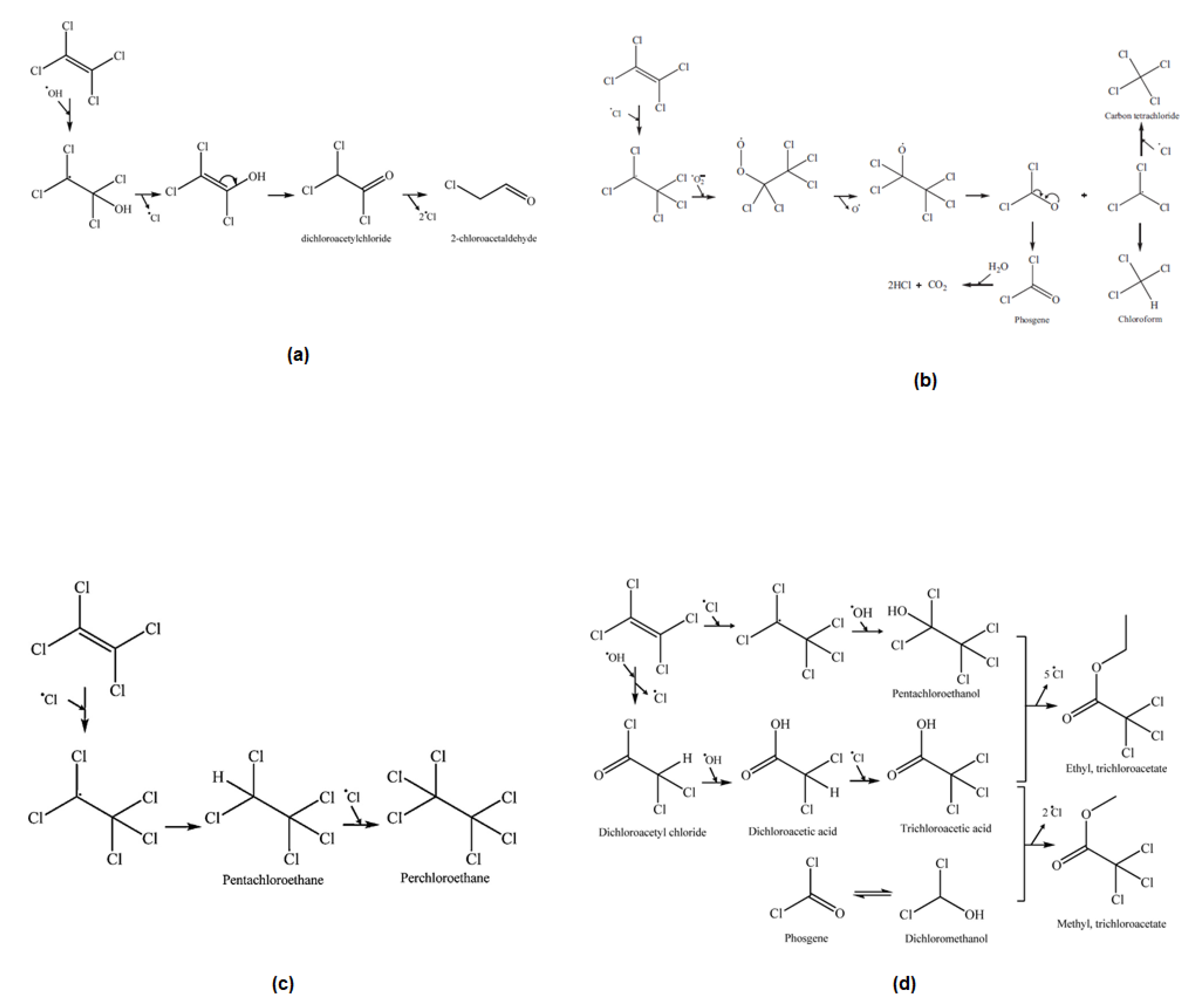 Catalysts 13 00380 g004