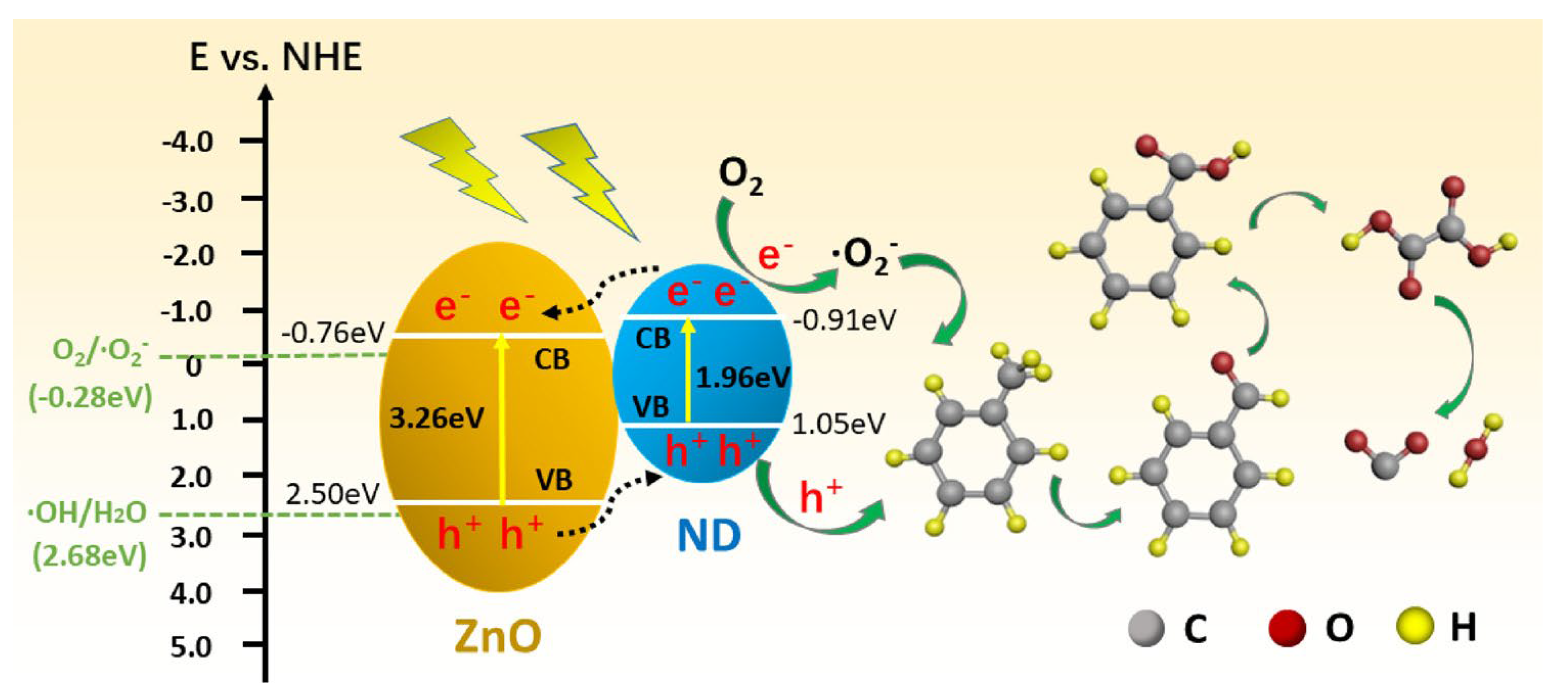 Catalysts 13 00380 g007