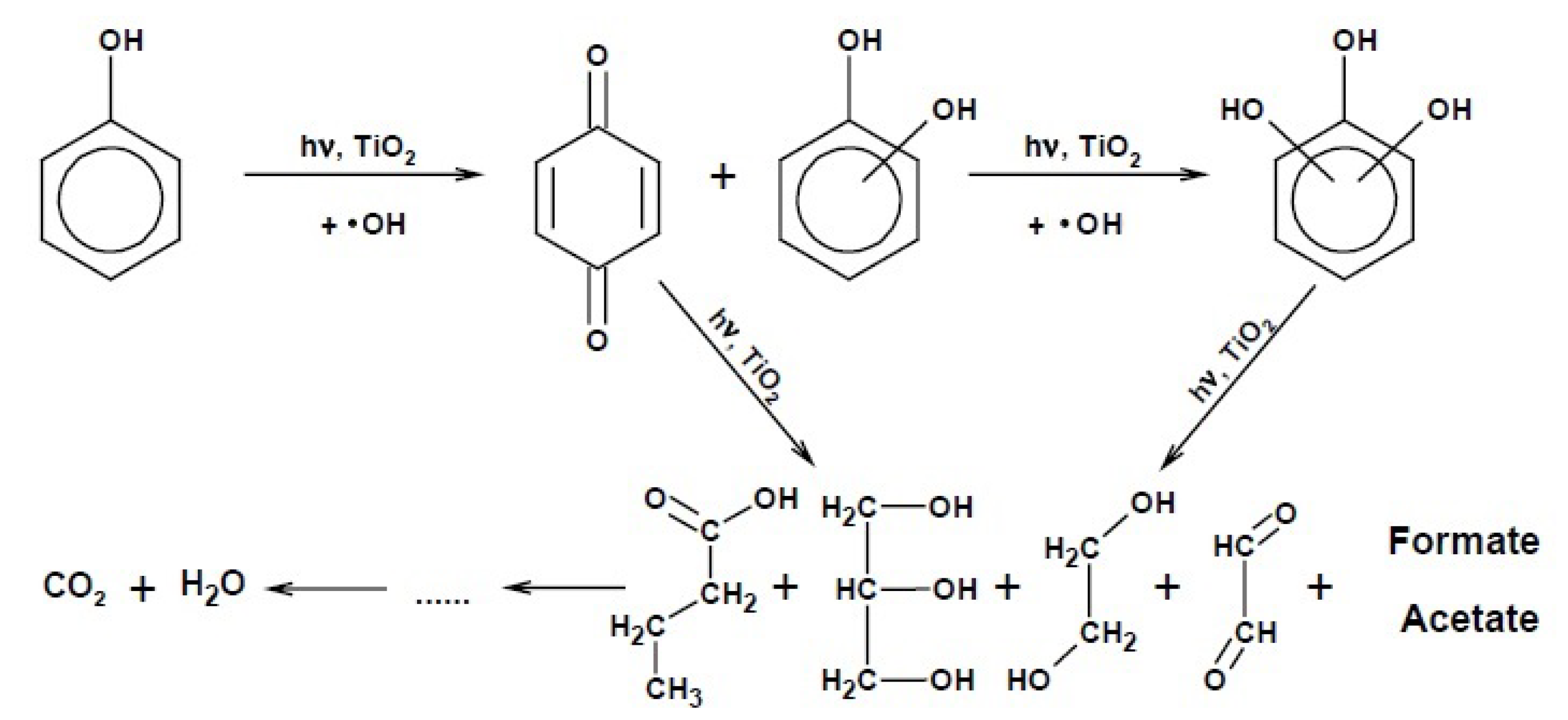 Catalysts 13 00380 g009