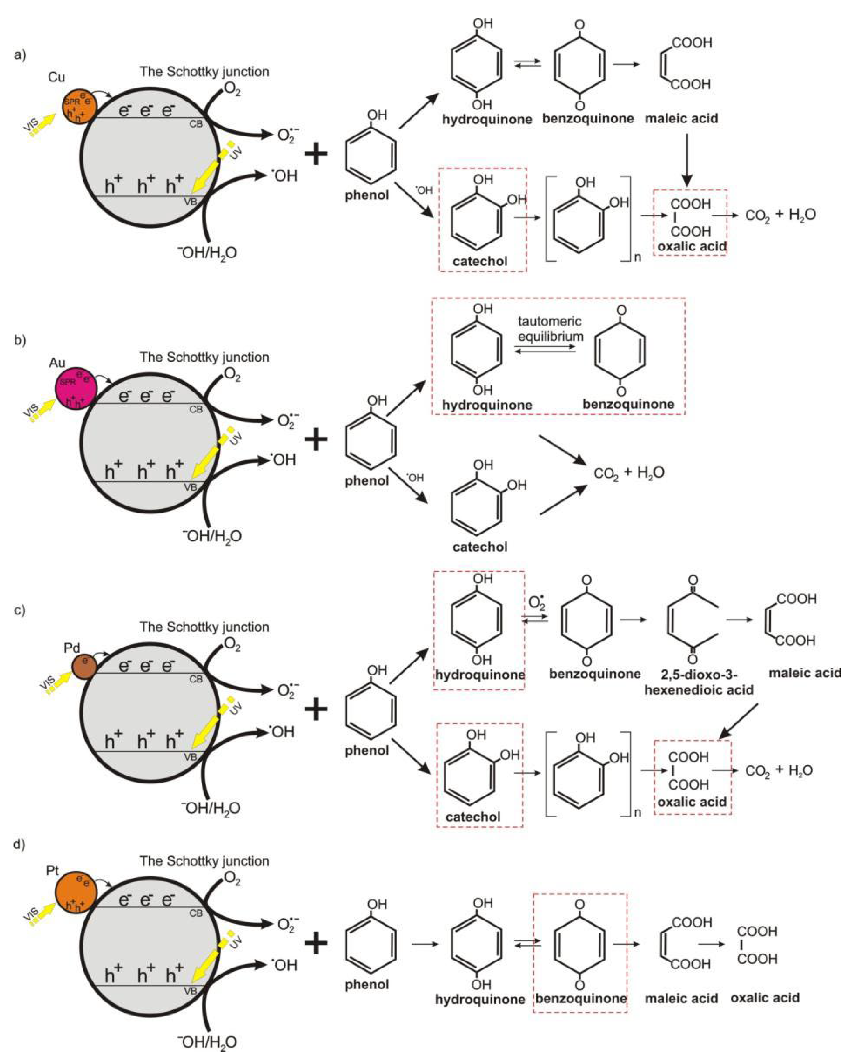 Catalysts 13 00380 g010