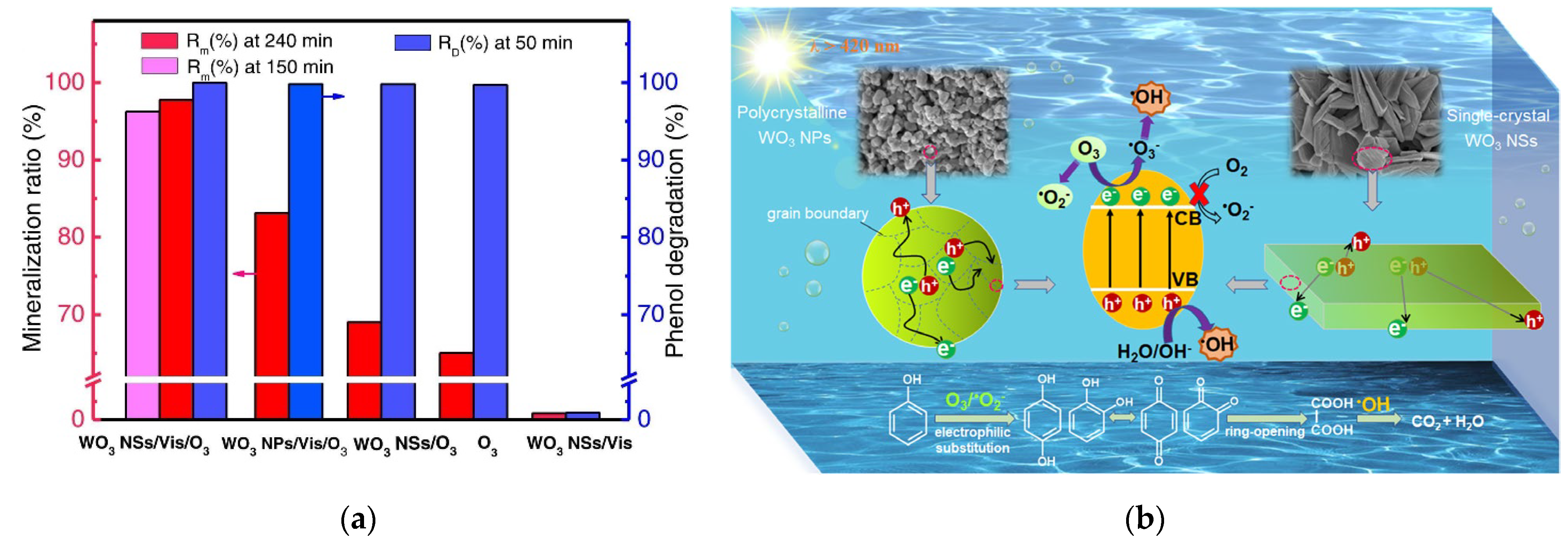 Catalysts 13 00380 g014
