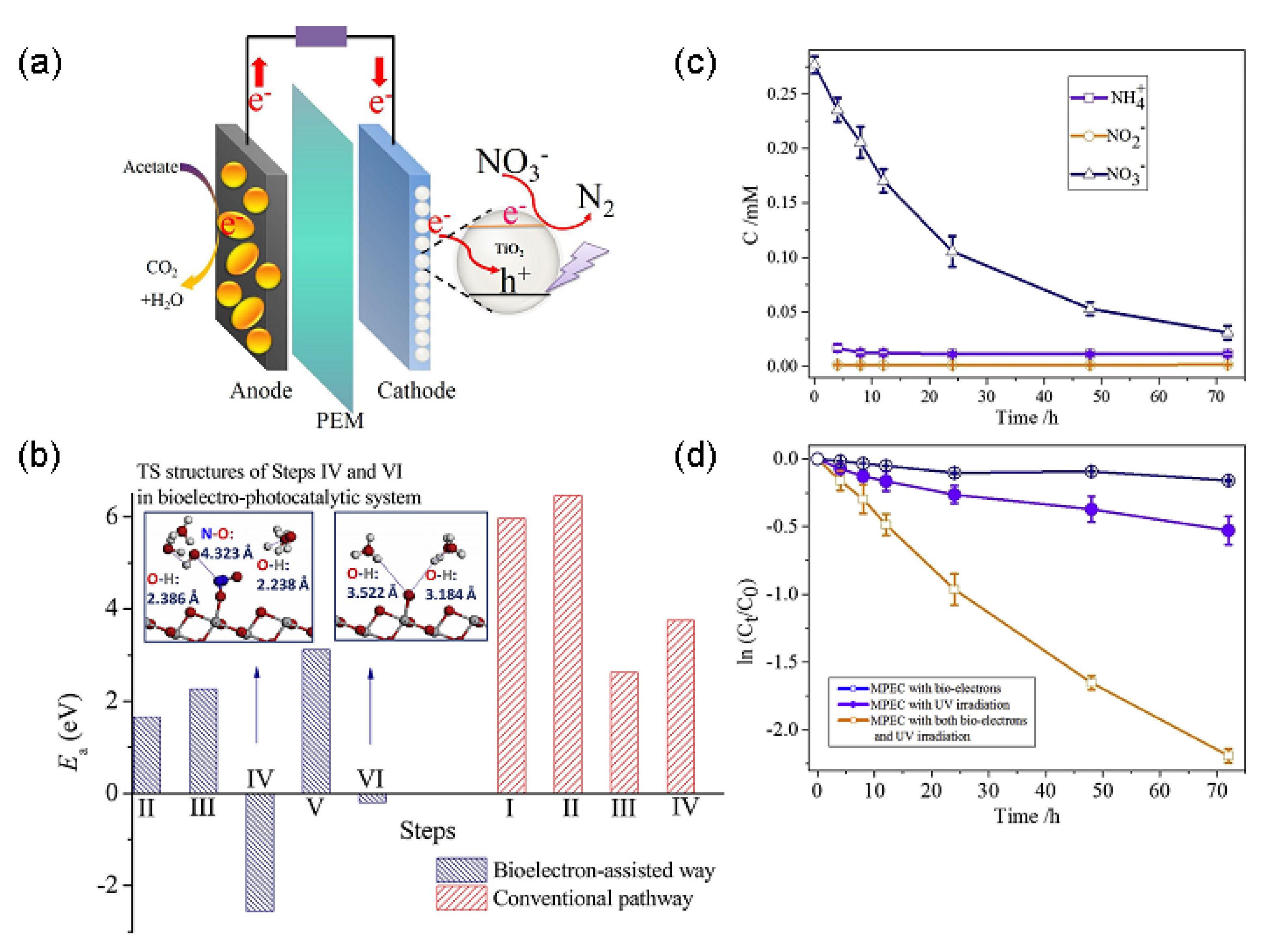 Catalysts 13 00380 g017