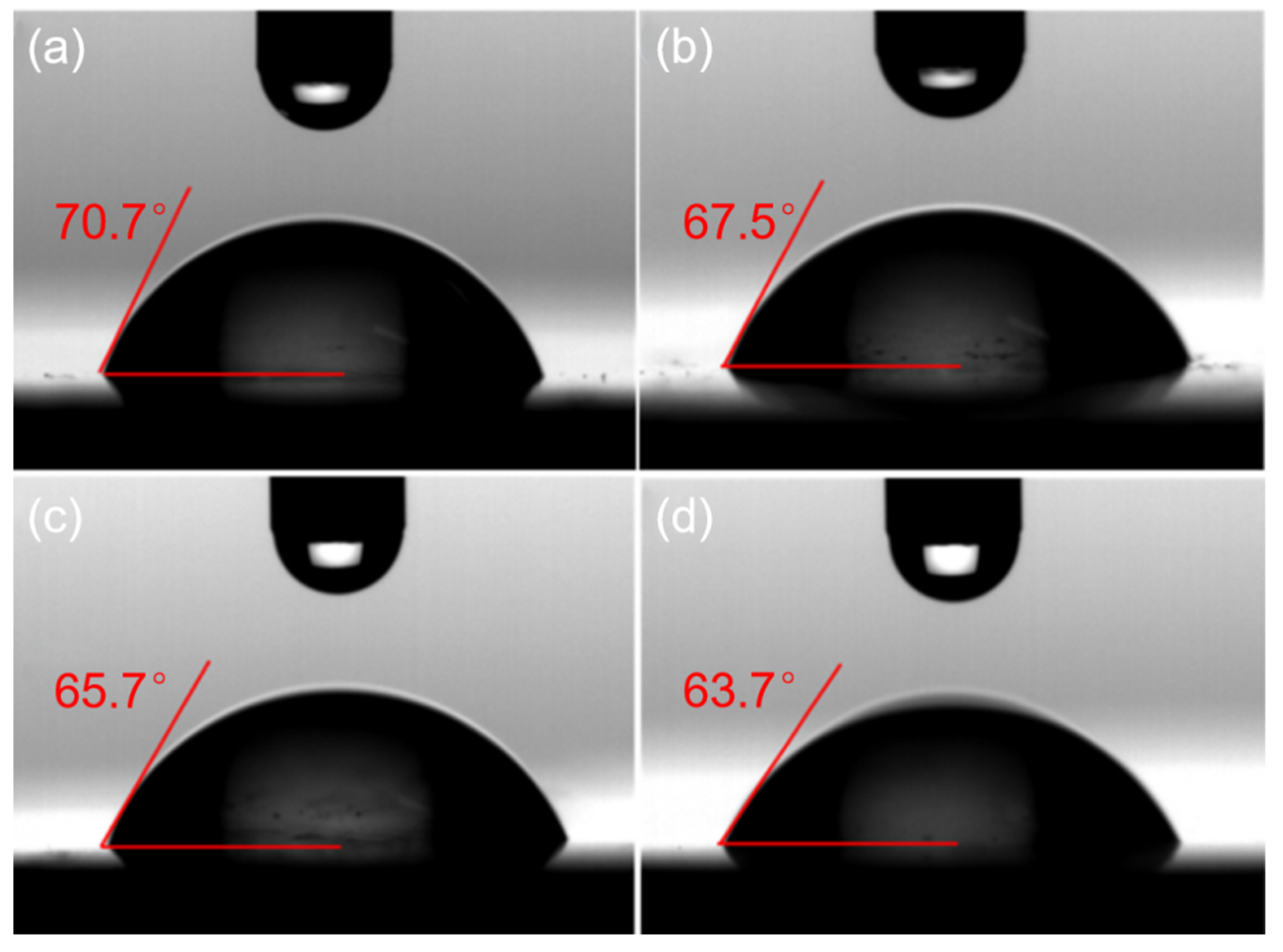 Catalysts 13 00383 g003