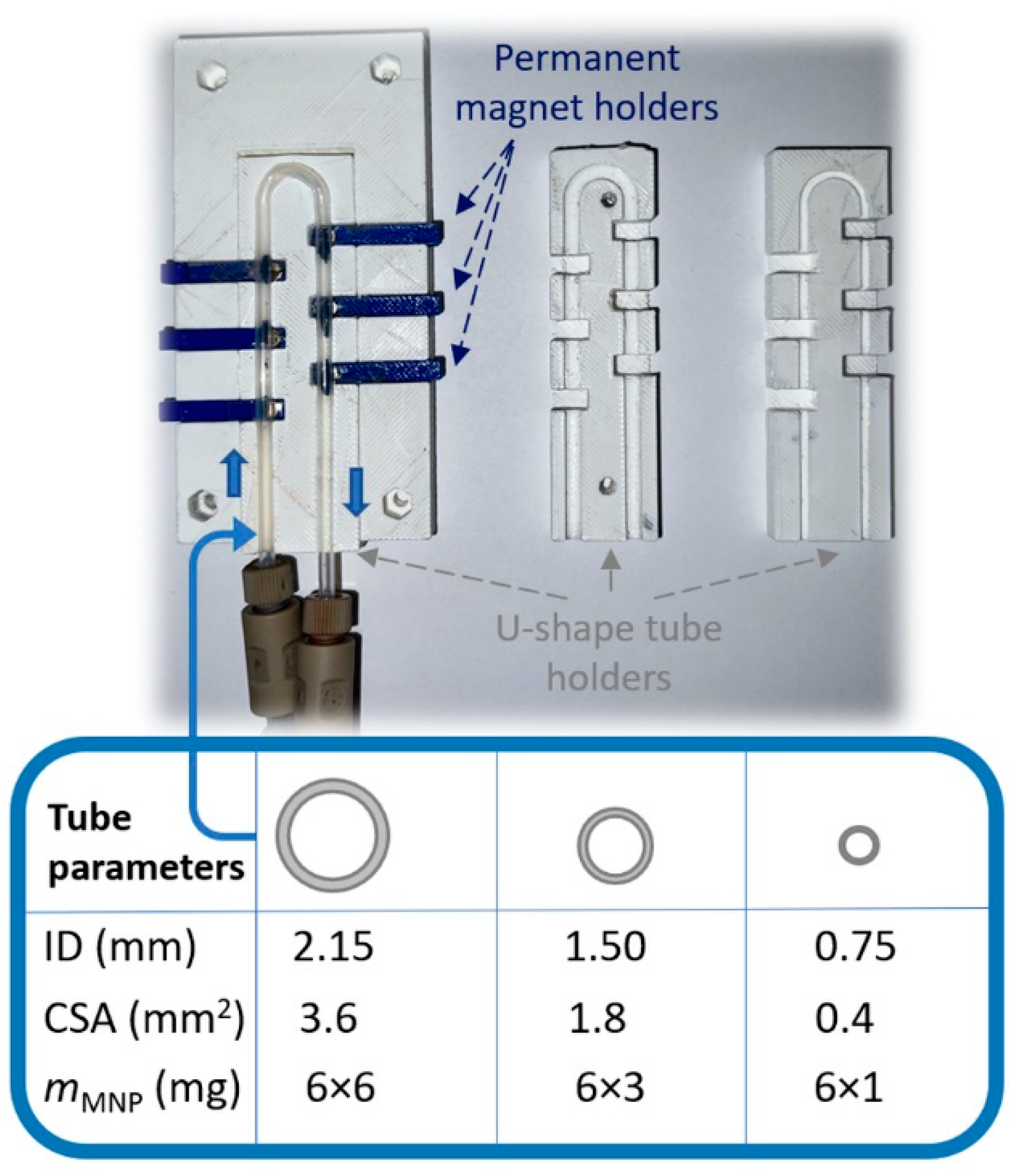 Catalysts 13 00384 g002