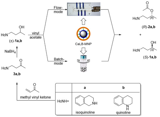 Catalysts 13 00384 sch001