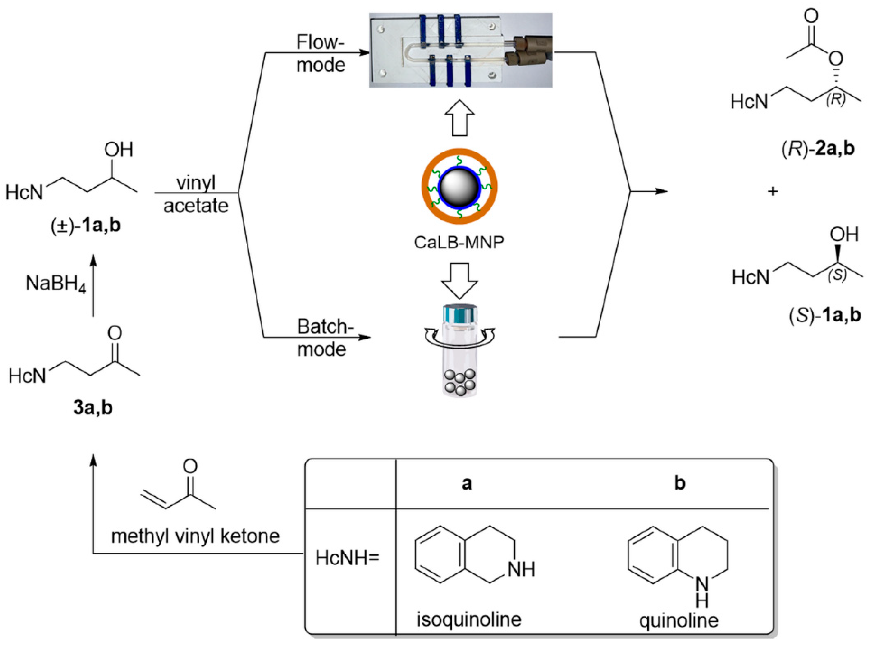 Catalysts 13 00384 sch001