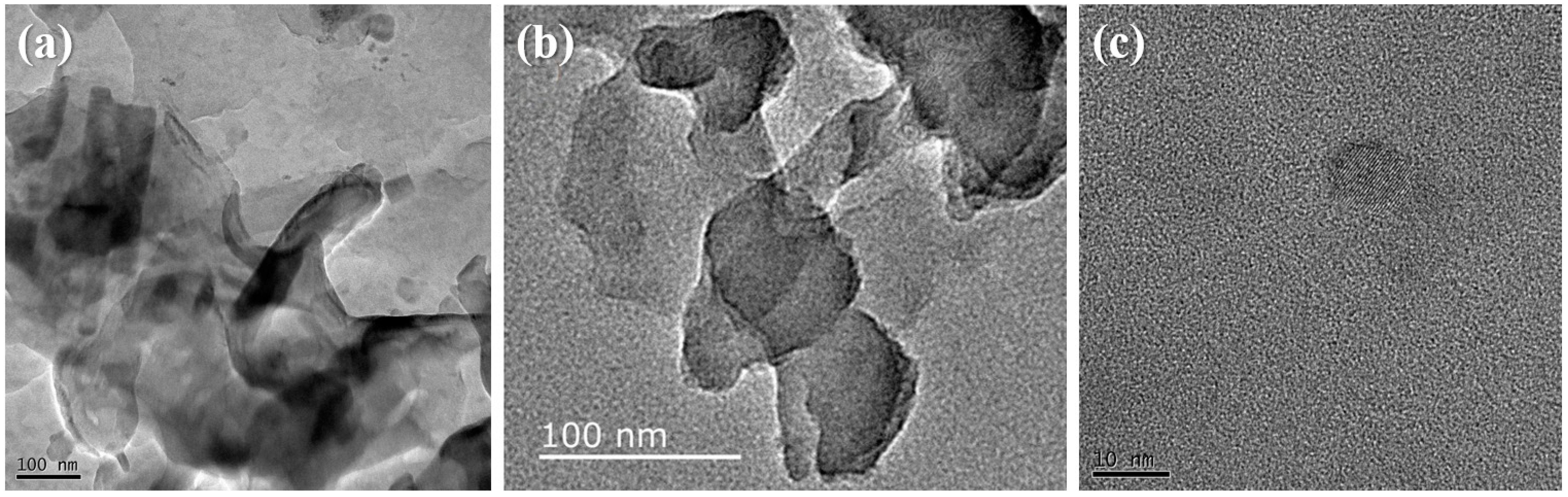 Catalysts 13 00385 g002