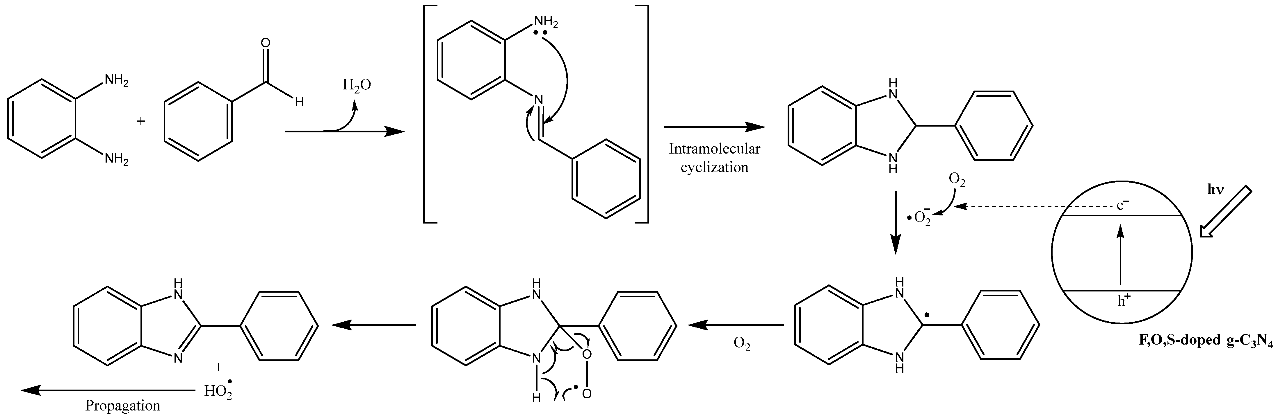 Catalysts 13 00385 g008