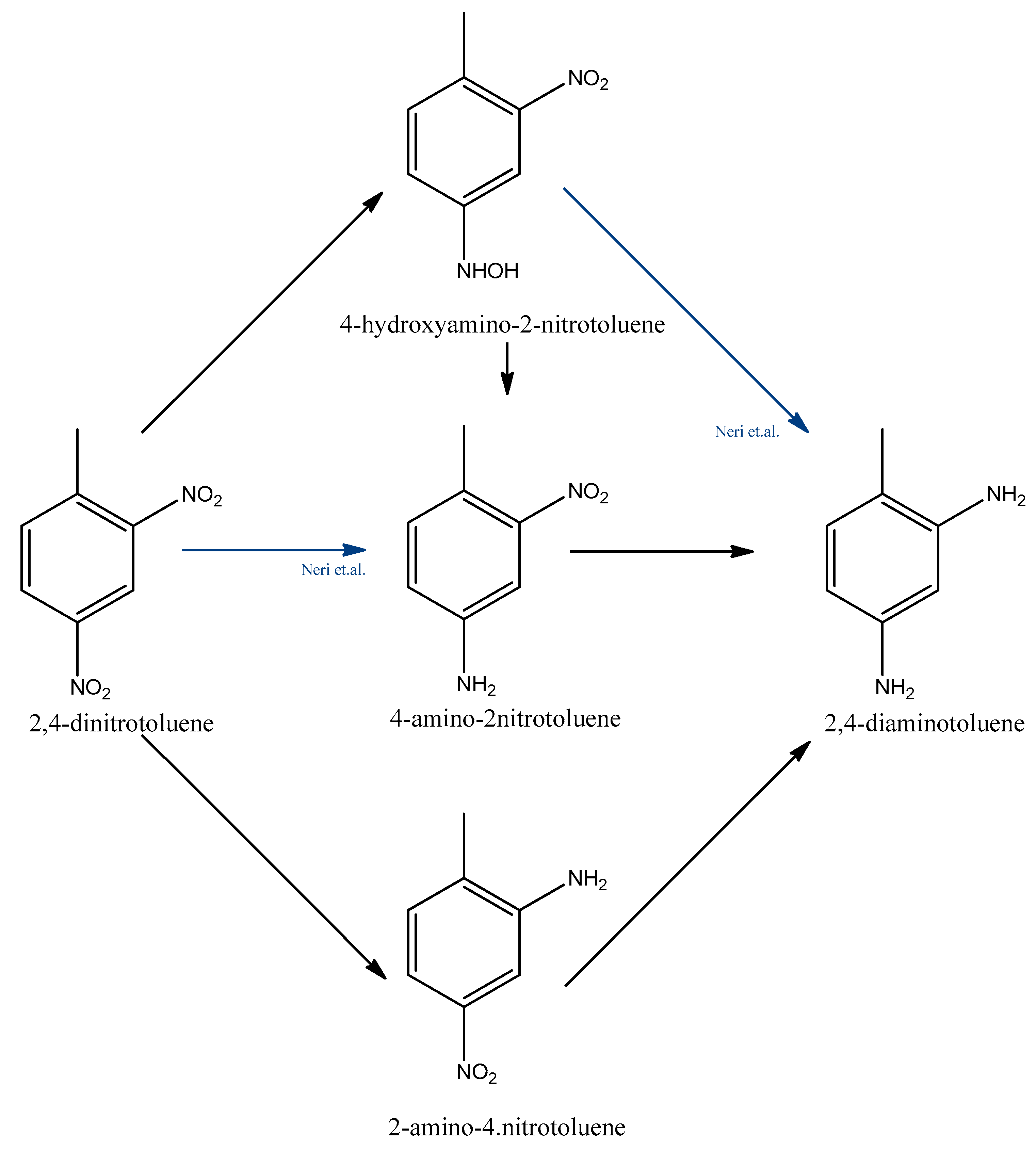 Catalysts 13 00387 g004