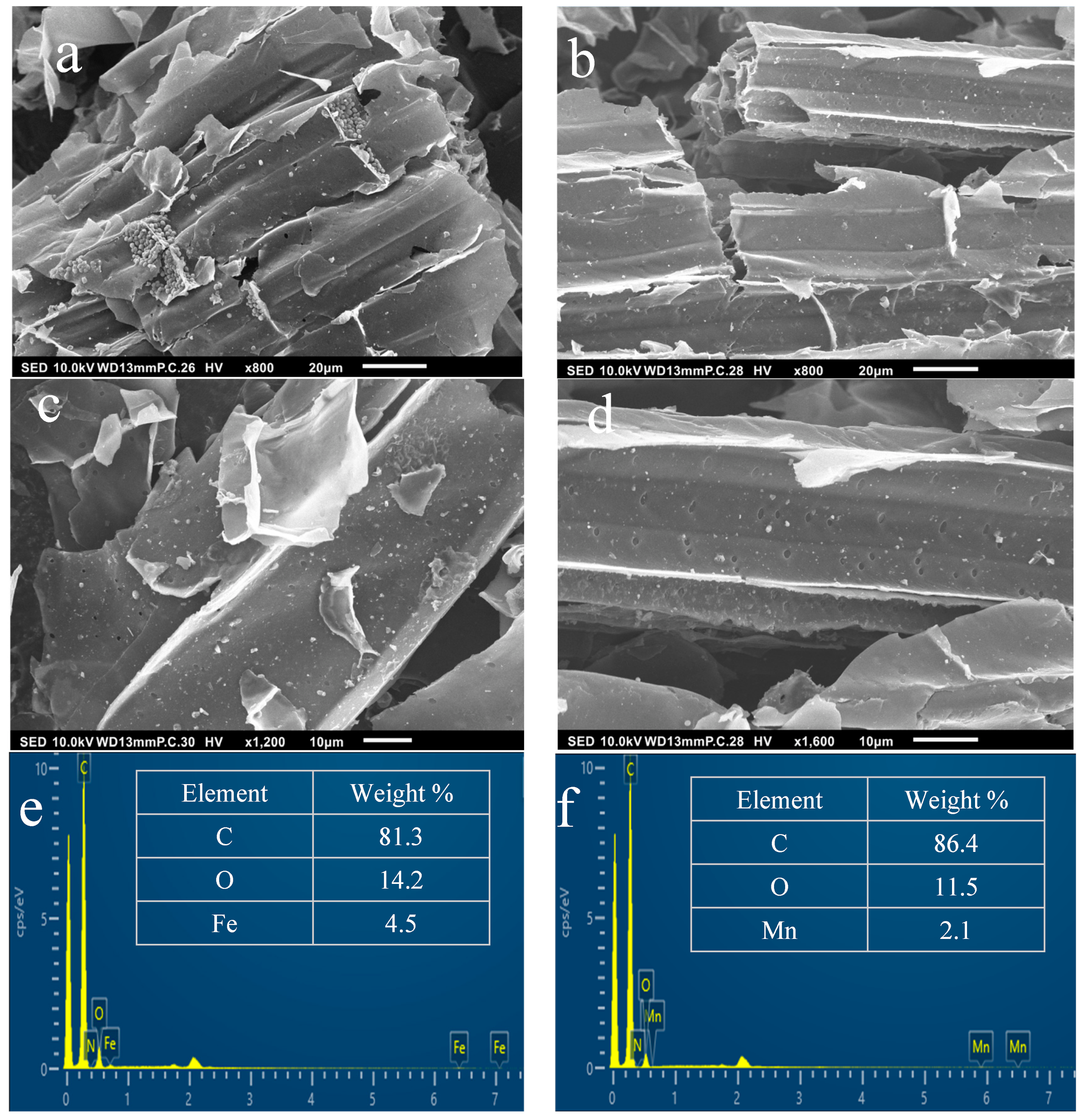 Catalysts 13 00388 g004