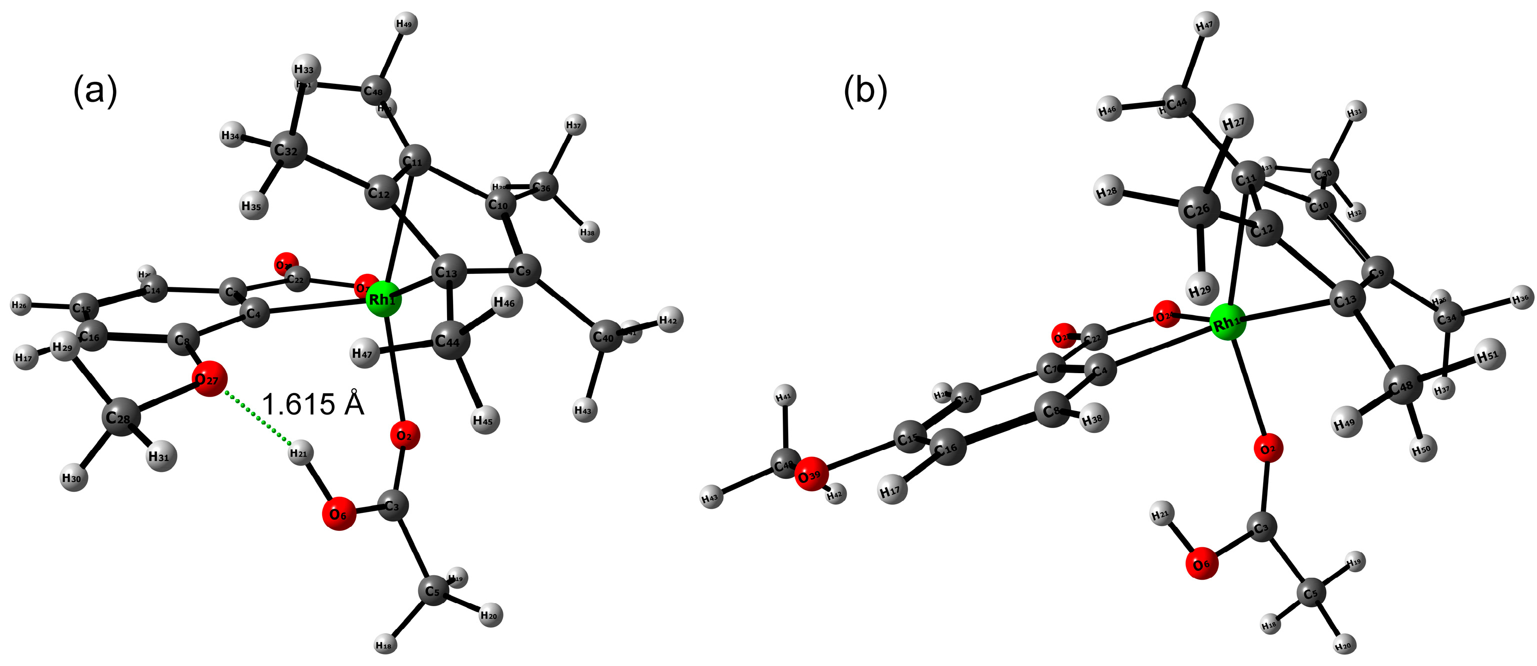 Catalysts 13 00389 g007