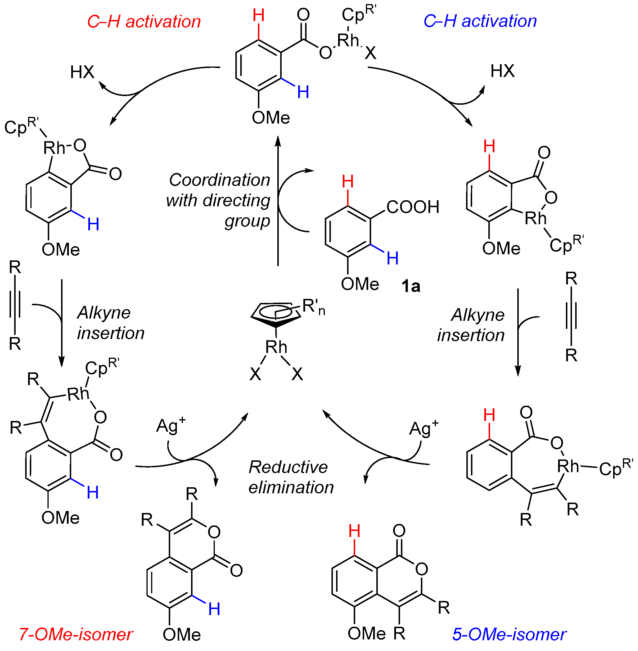 Catalysts 13 00389 sch002