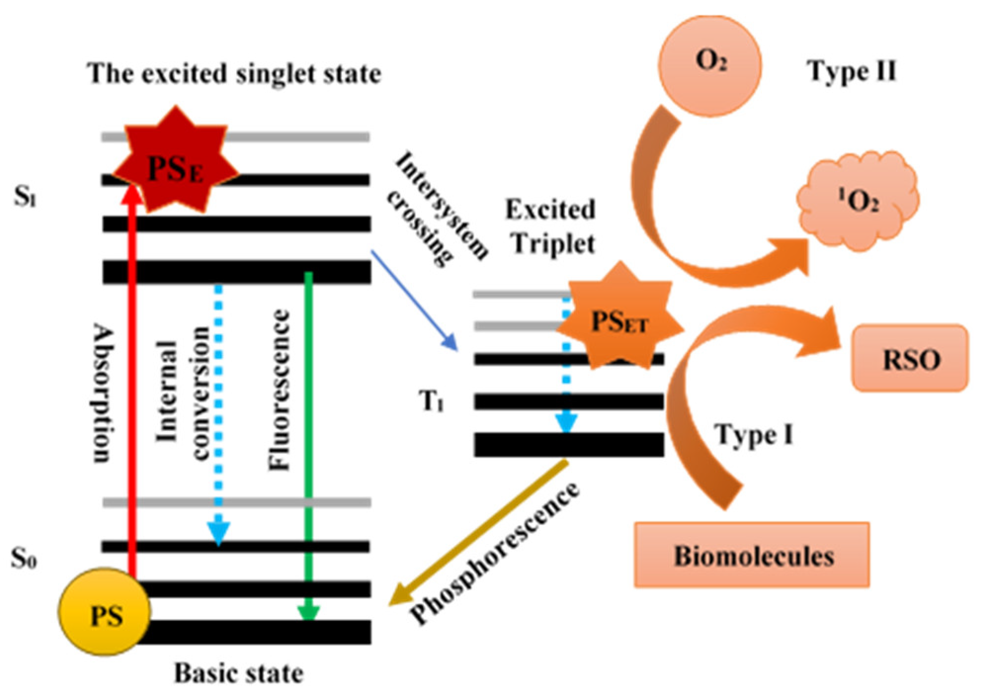 Catalysts 13 00394 g002