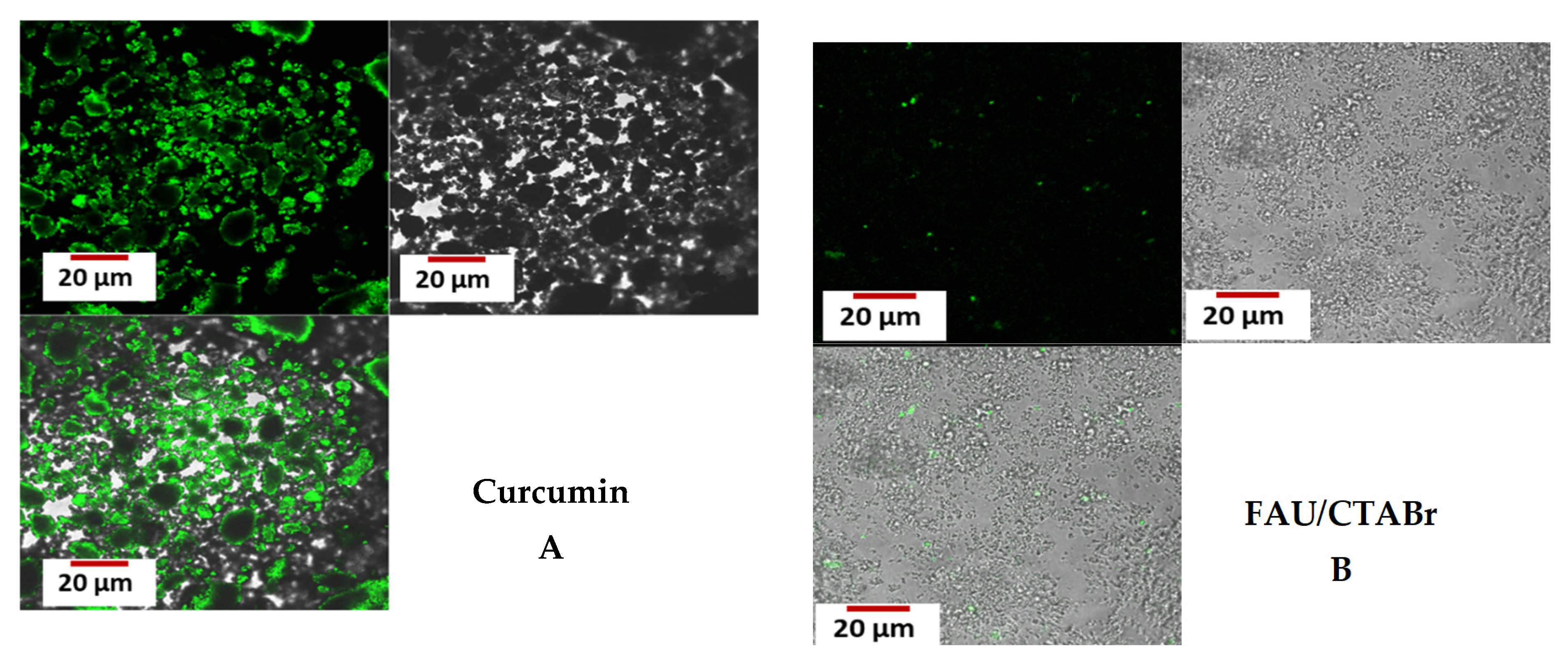 Catalysts 13 00394 g008a