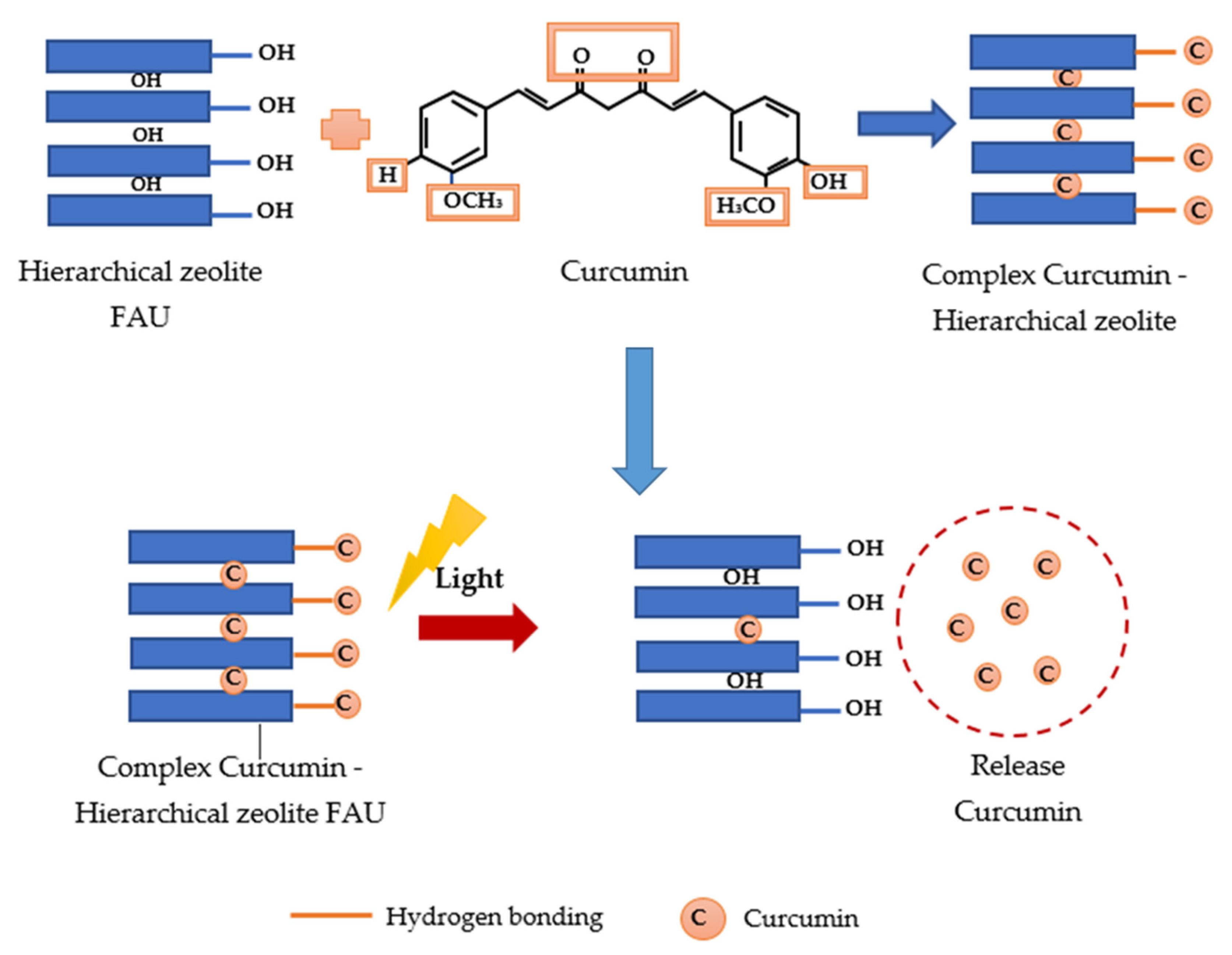 Catalysts 13 00394 g012