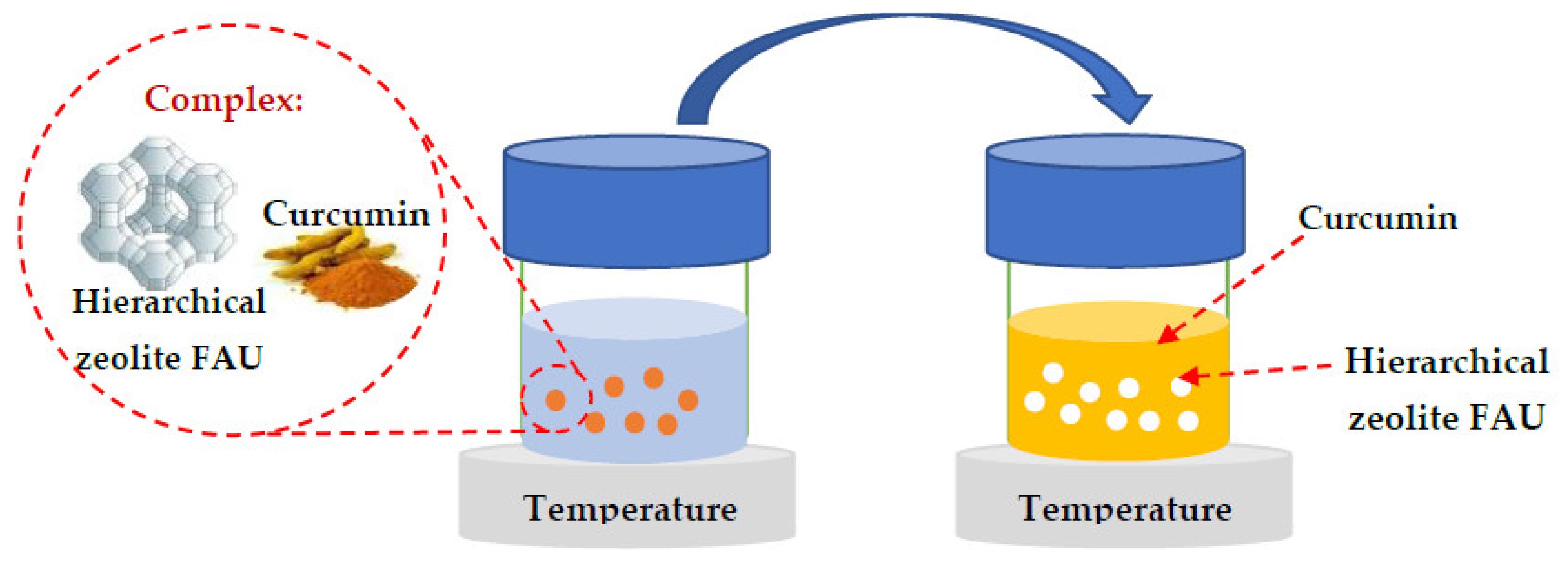 Catalysts 13 00394 g013