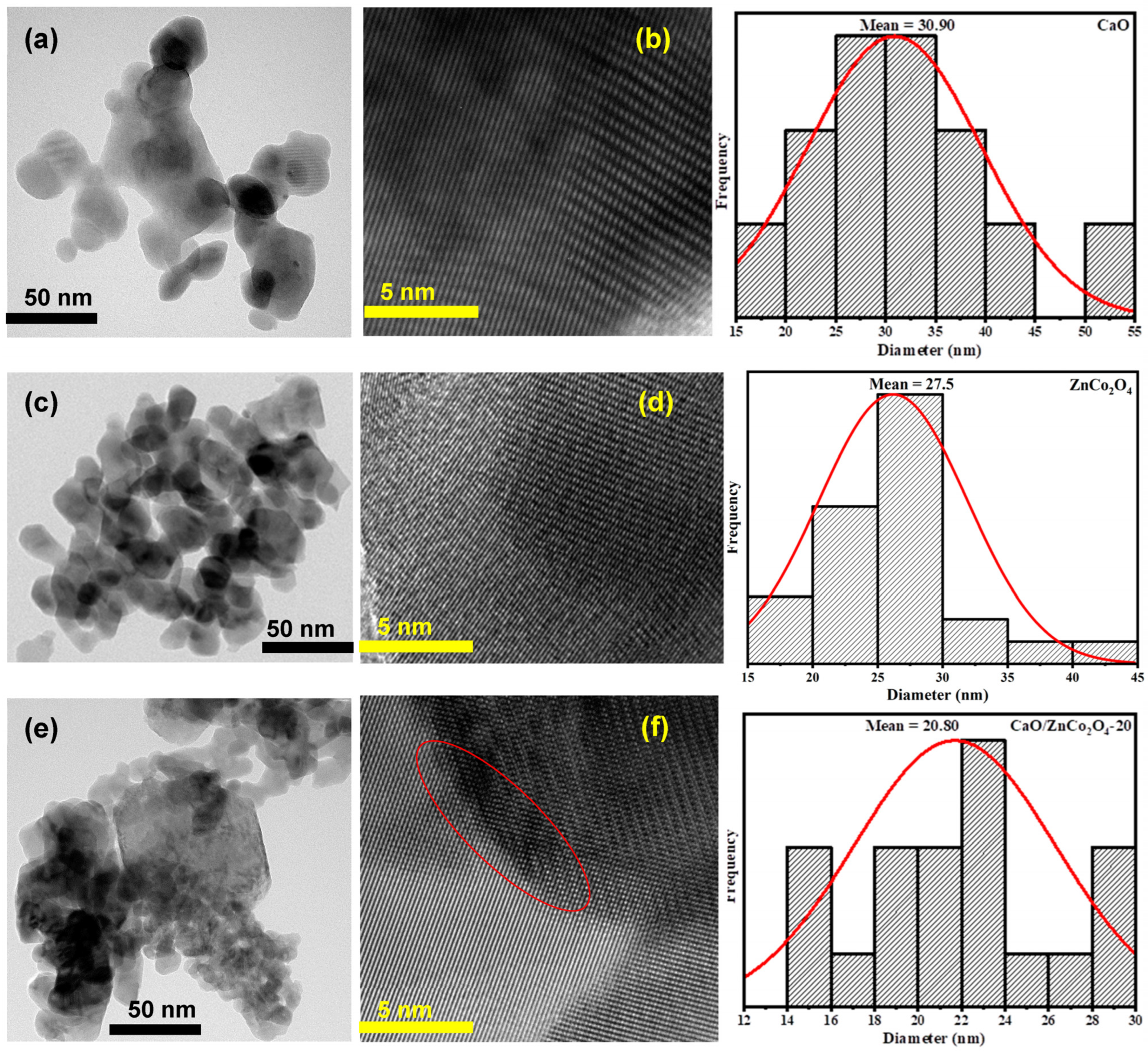 Catalysts 13 00398 g002