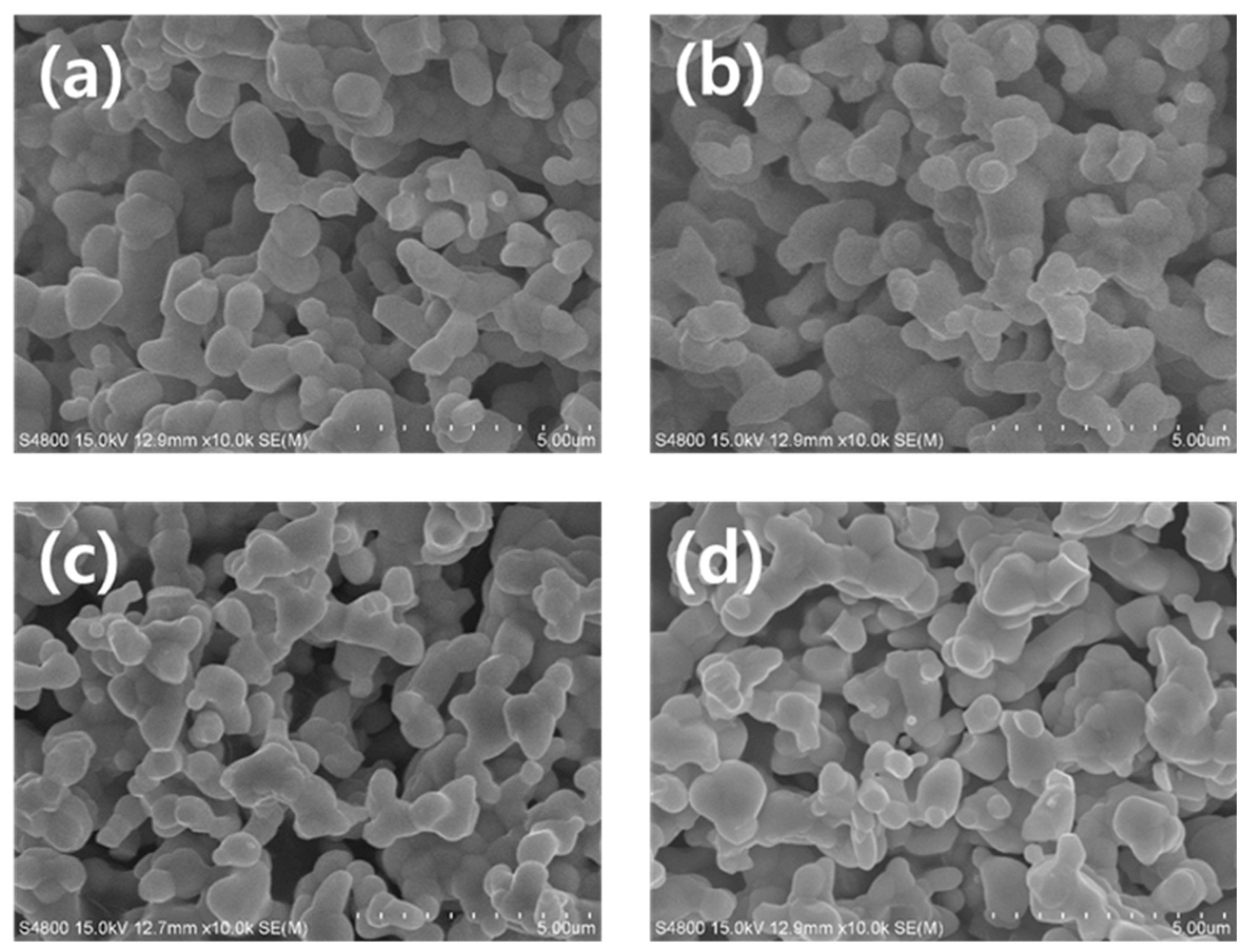Catalysts 13 00399 g001