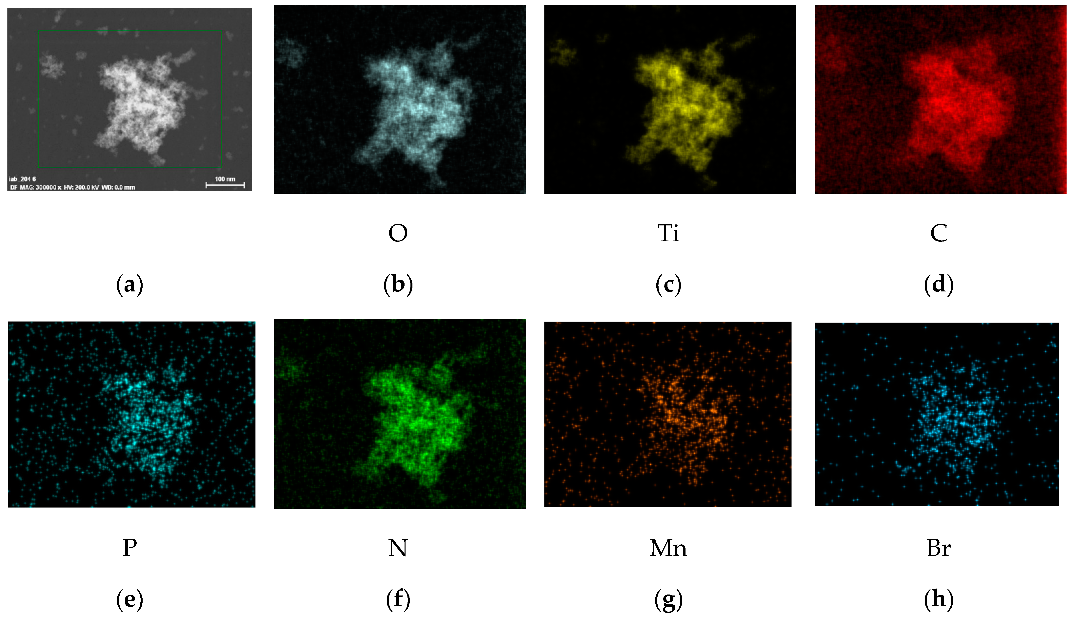 Catalysts 13 00402 g003