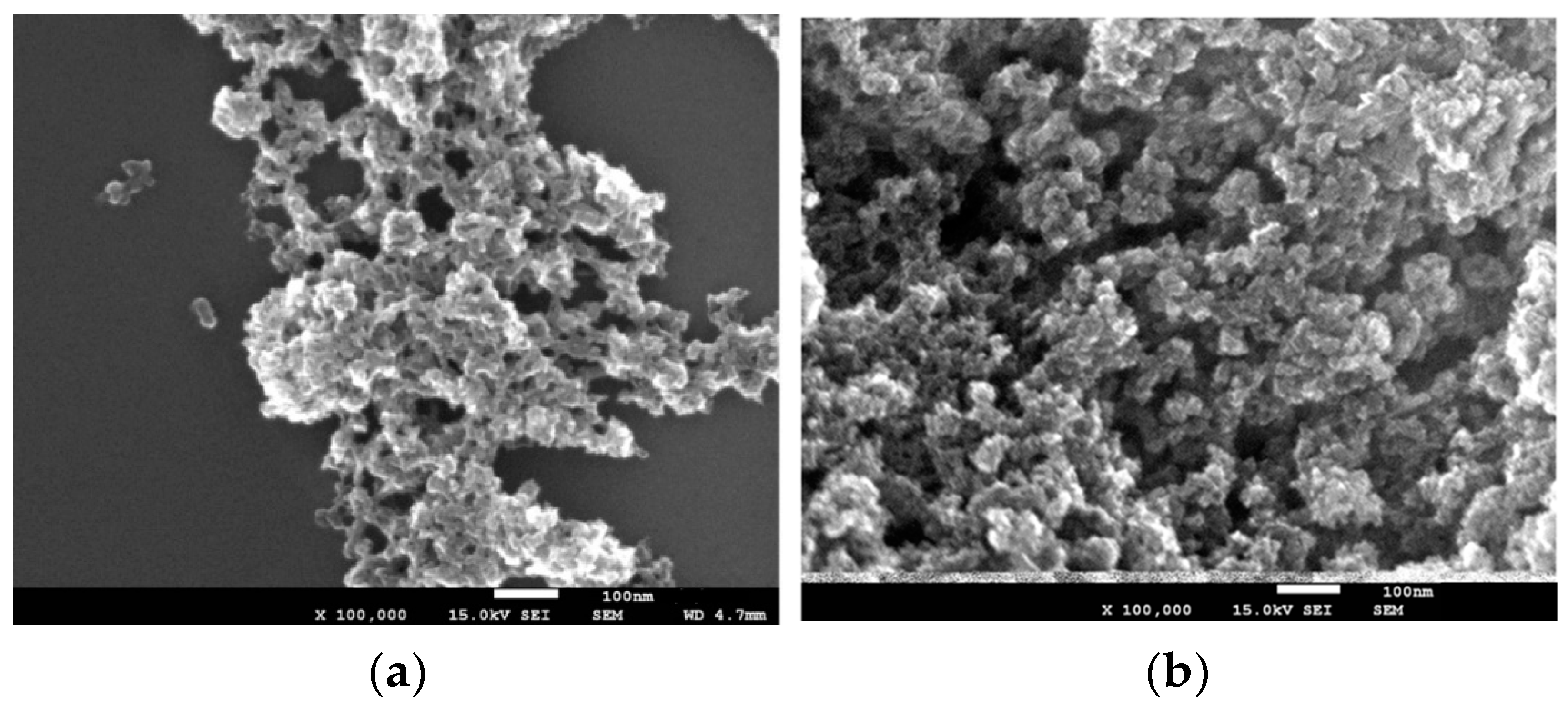 Catalysts 13 00402 g005