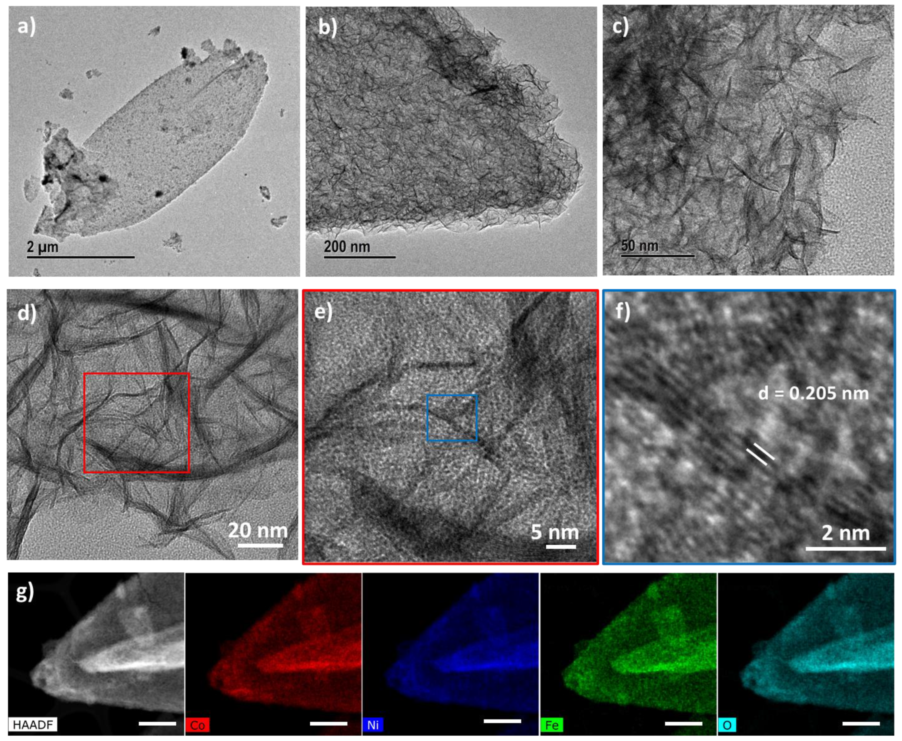 Catalysts 13 00403 g002