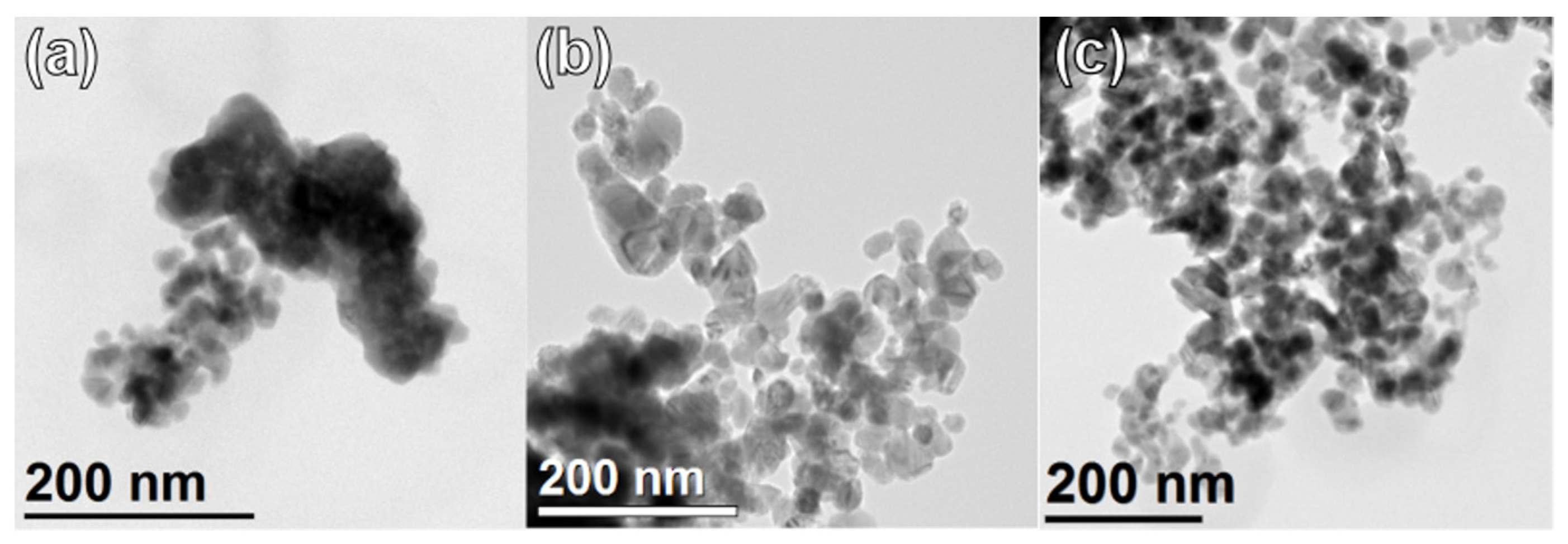 Catalysts 13 00405 g004