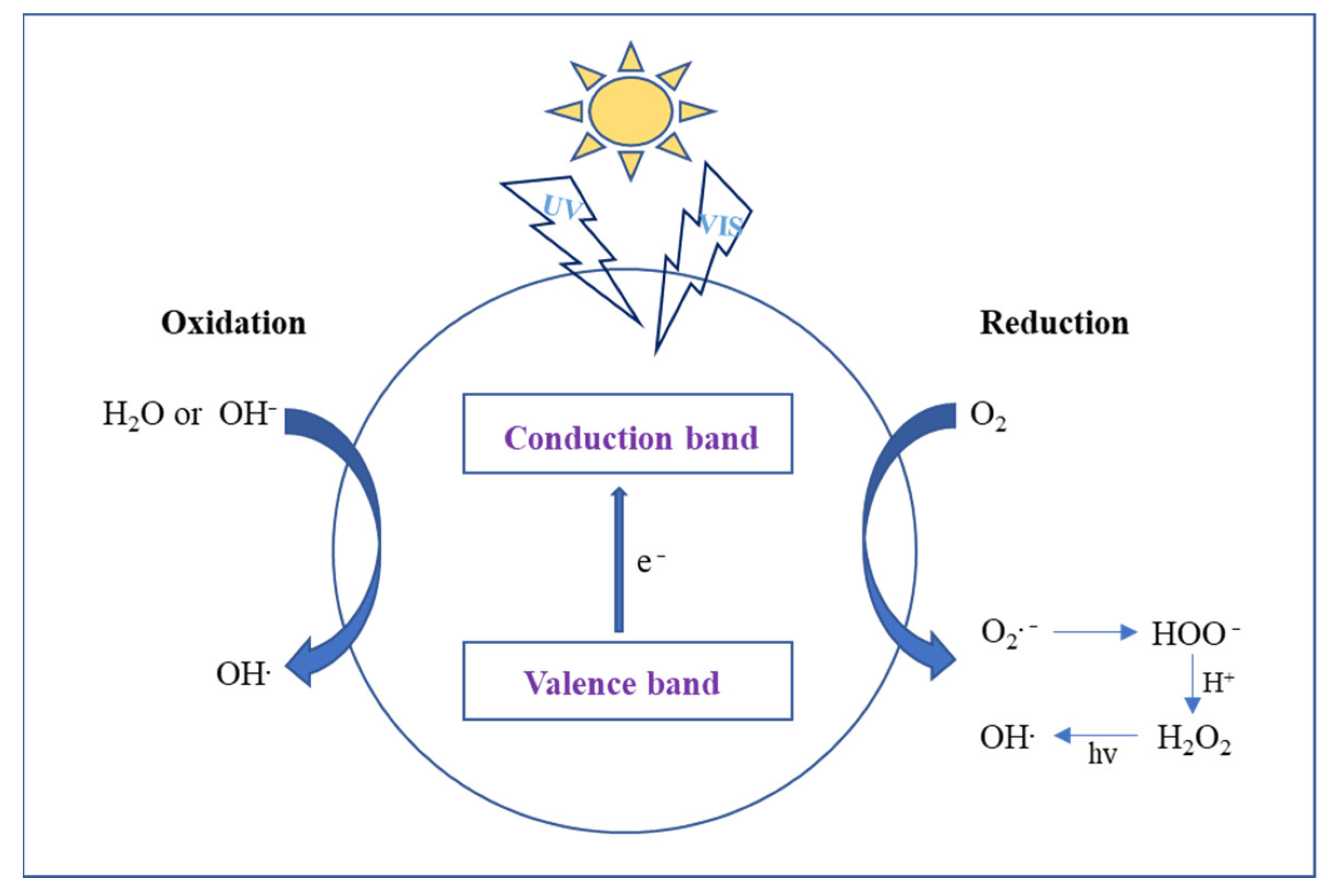 Catalysts 13 00407 g001 Catalysts 13 00407 g001