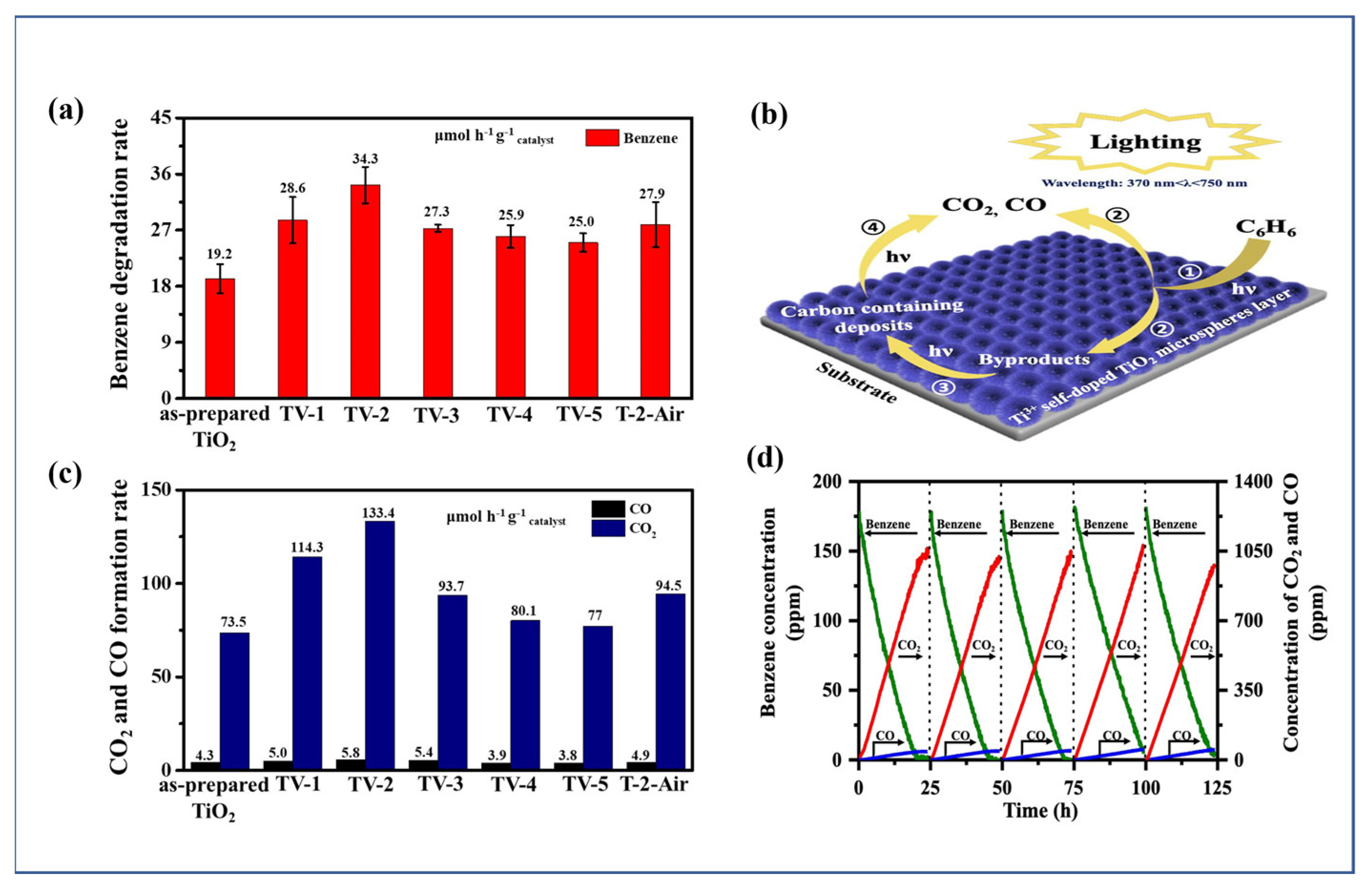 Catalysts 13 00407 g005 Catalysts 13 00407 g005