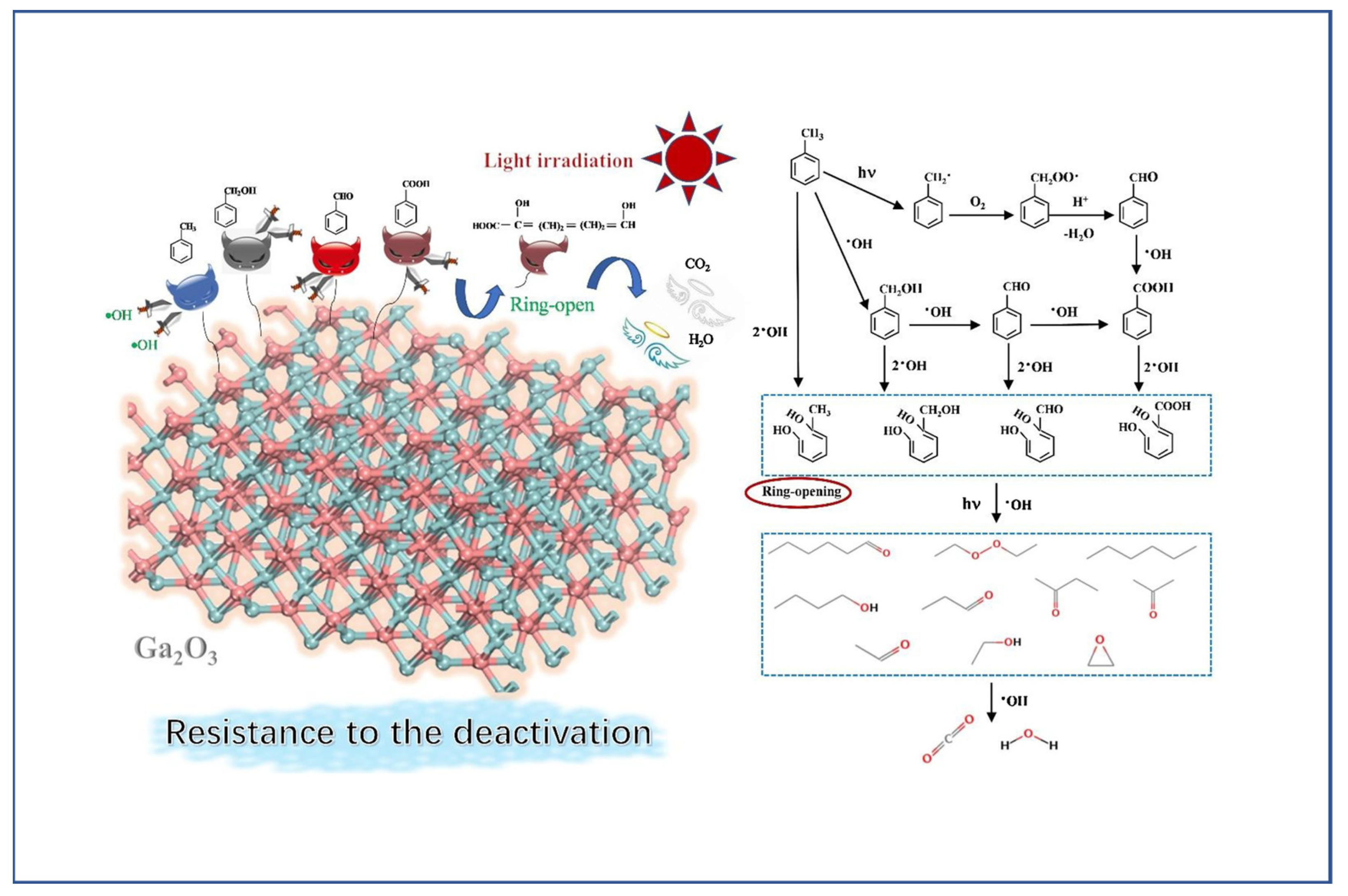Catalysts 13 00407 g006 Catalysts 13 00407 g006