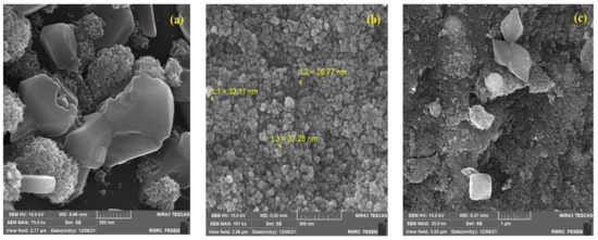 Catalysts 13 00411 g001a Catalysts 13 00411 g001a