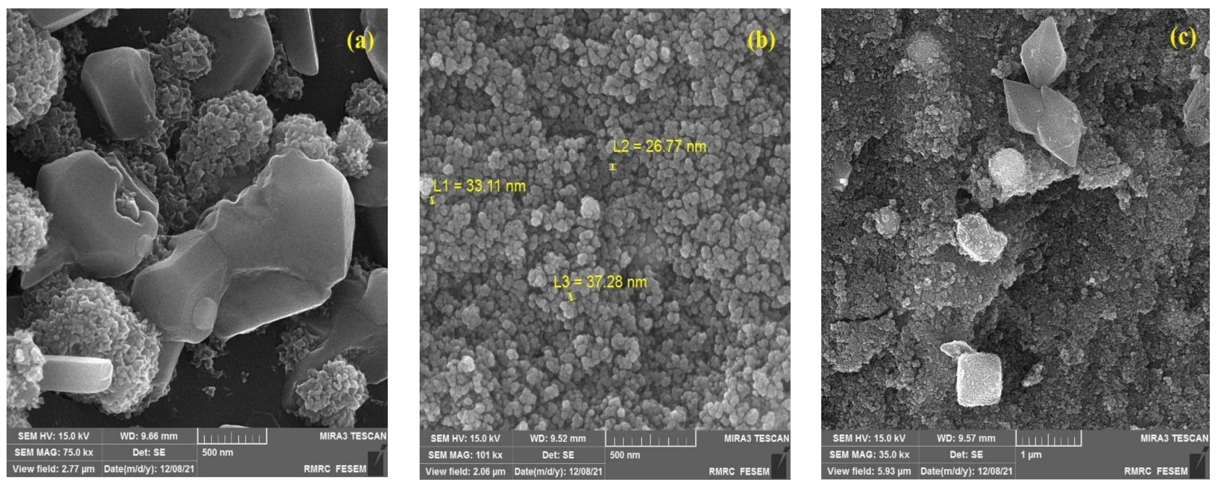 Catalysts 13 00411 g001a Catalysts 13 00411 g001a
