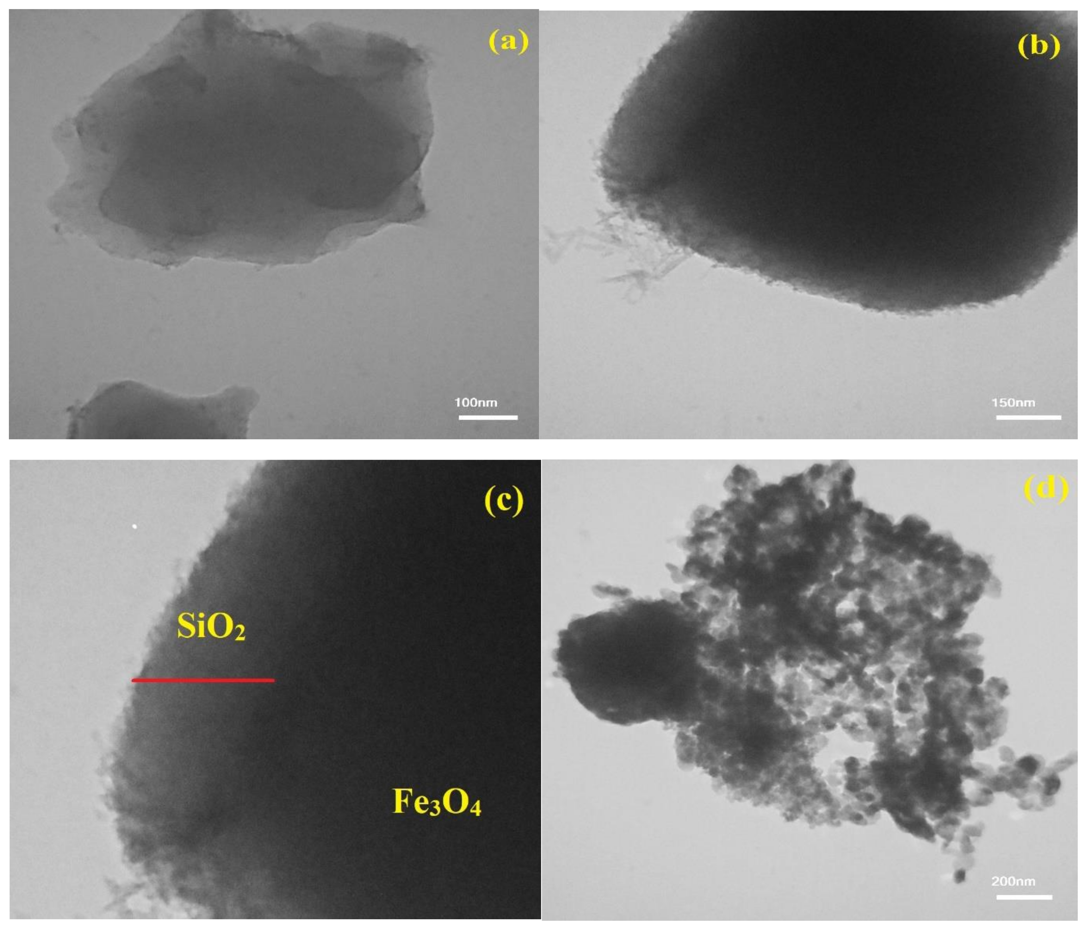 Catalysts 13 00411 g002 Catalysts 13 00411 g002