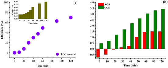 Catalysts 13 00411 g005a Catalysts 13 00411 g005a